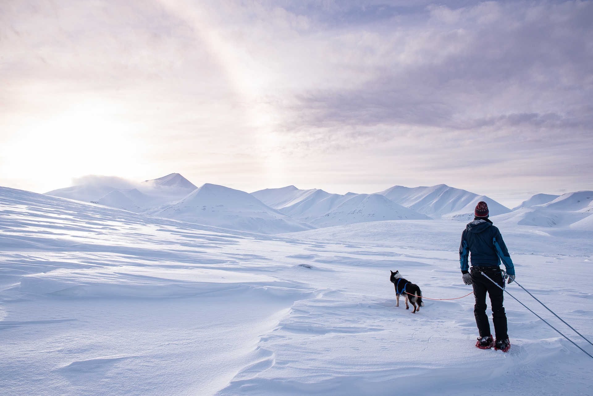 Robin et le chien dans les montagnes de l'arctique Spitzberg
