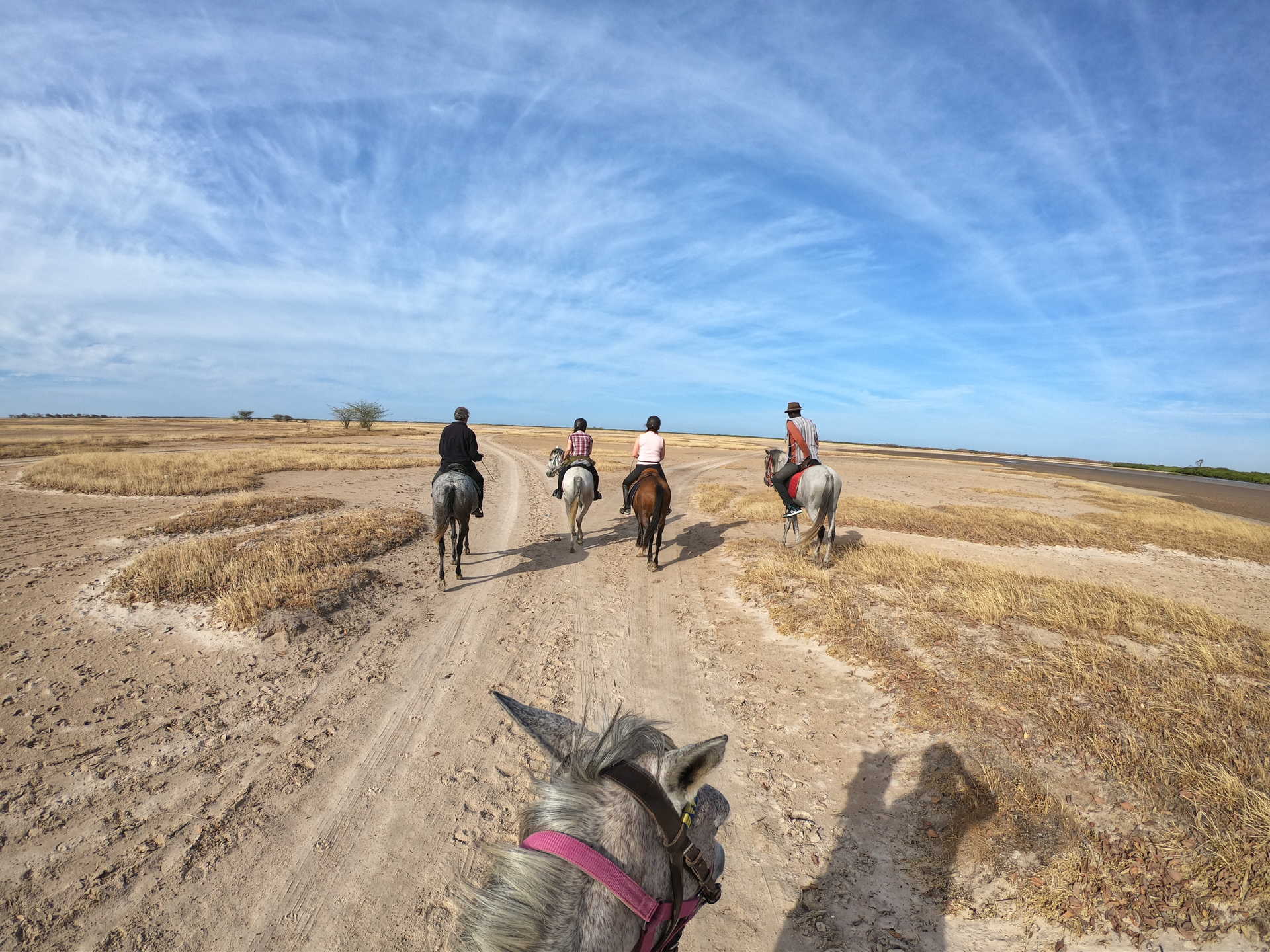 Nos randonnées à dos de cheval au Sénégal
