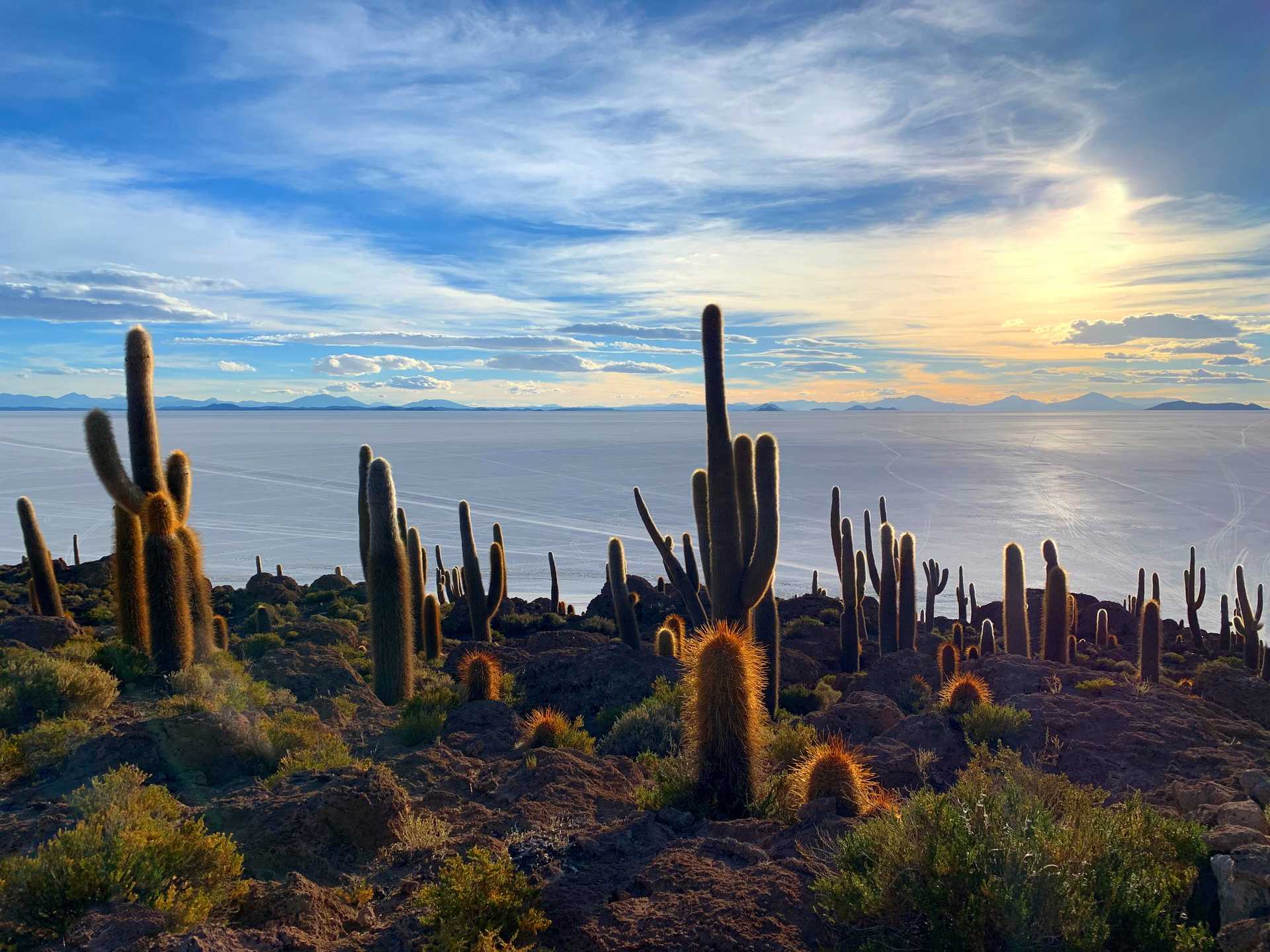 Salar de Uyuni et Île de cactus dans le désert de sel en Bolivie