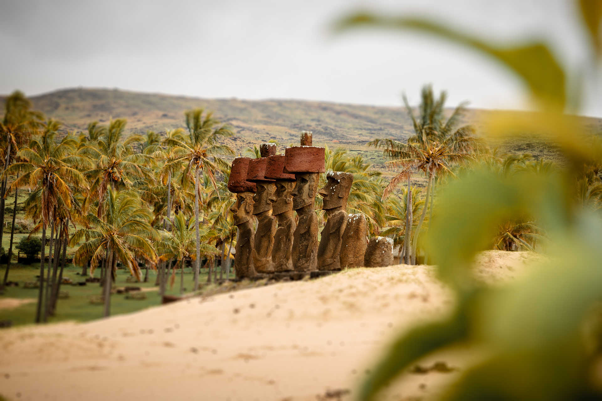 Statues Moai sur la plage d'Anakena sur l'île de Pâques