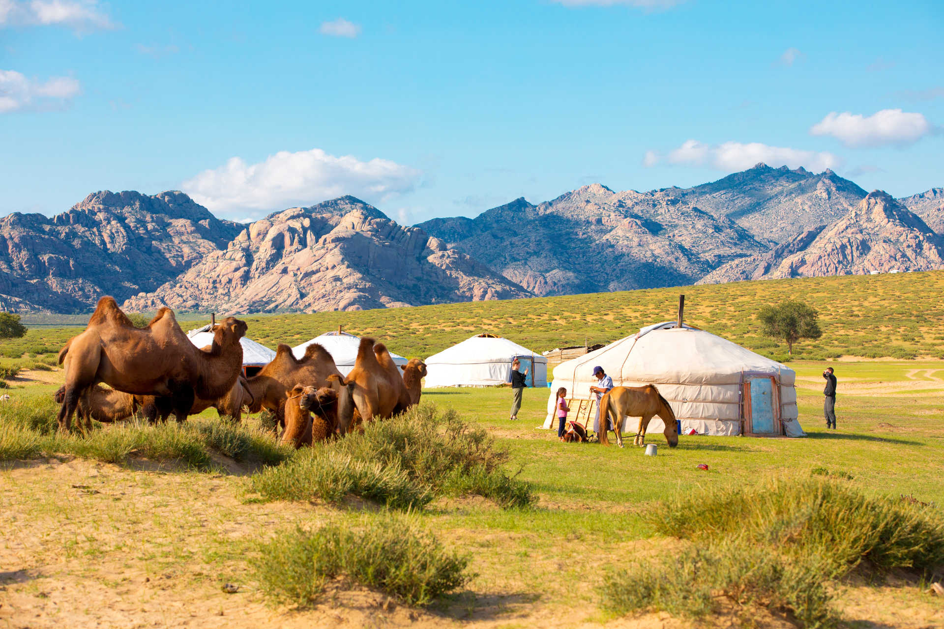 Tente mongole près du paysage de Gobi en Mongolie