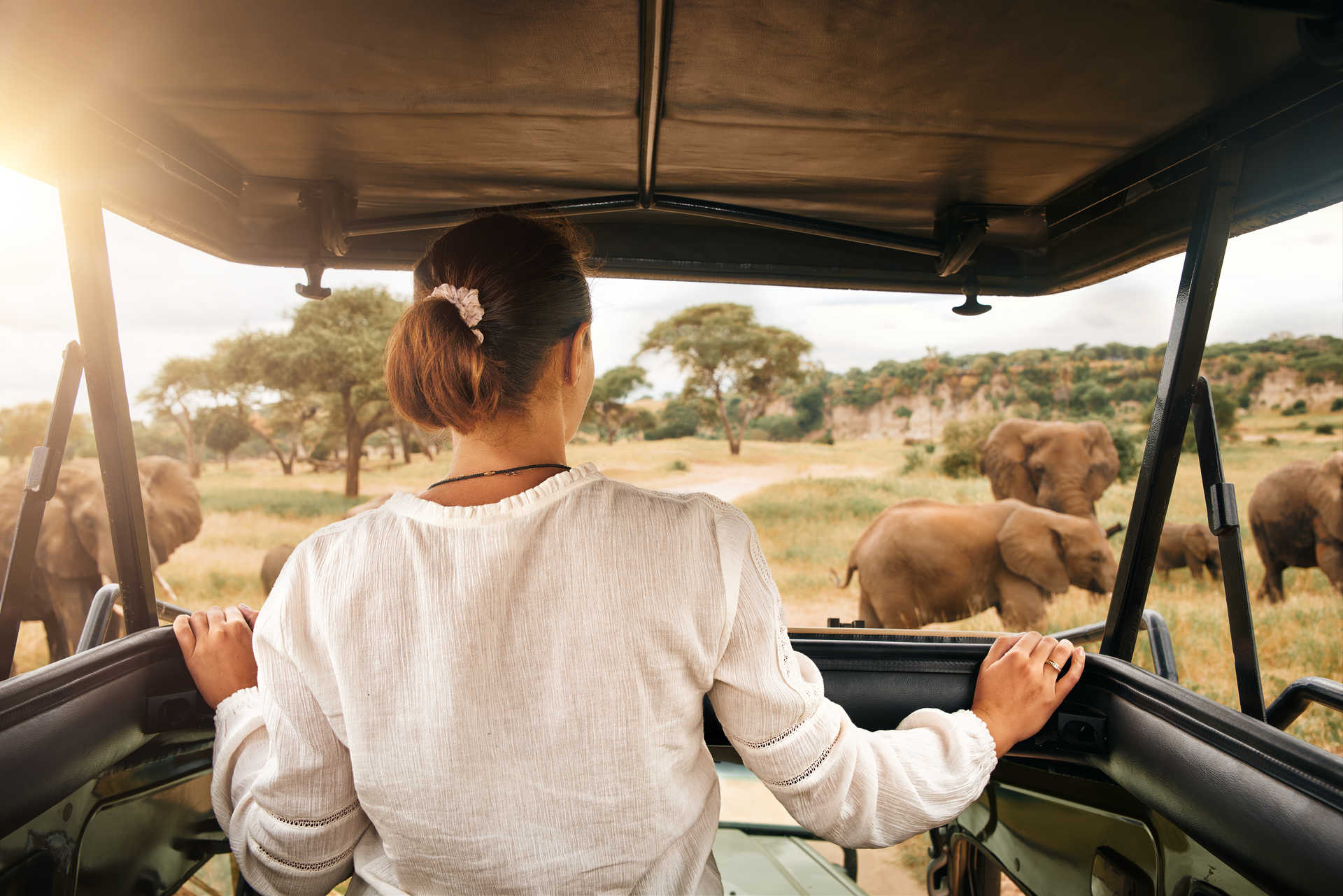 Touriste en safari dans le bush Tanzanien regardant les éléphants dans la savane