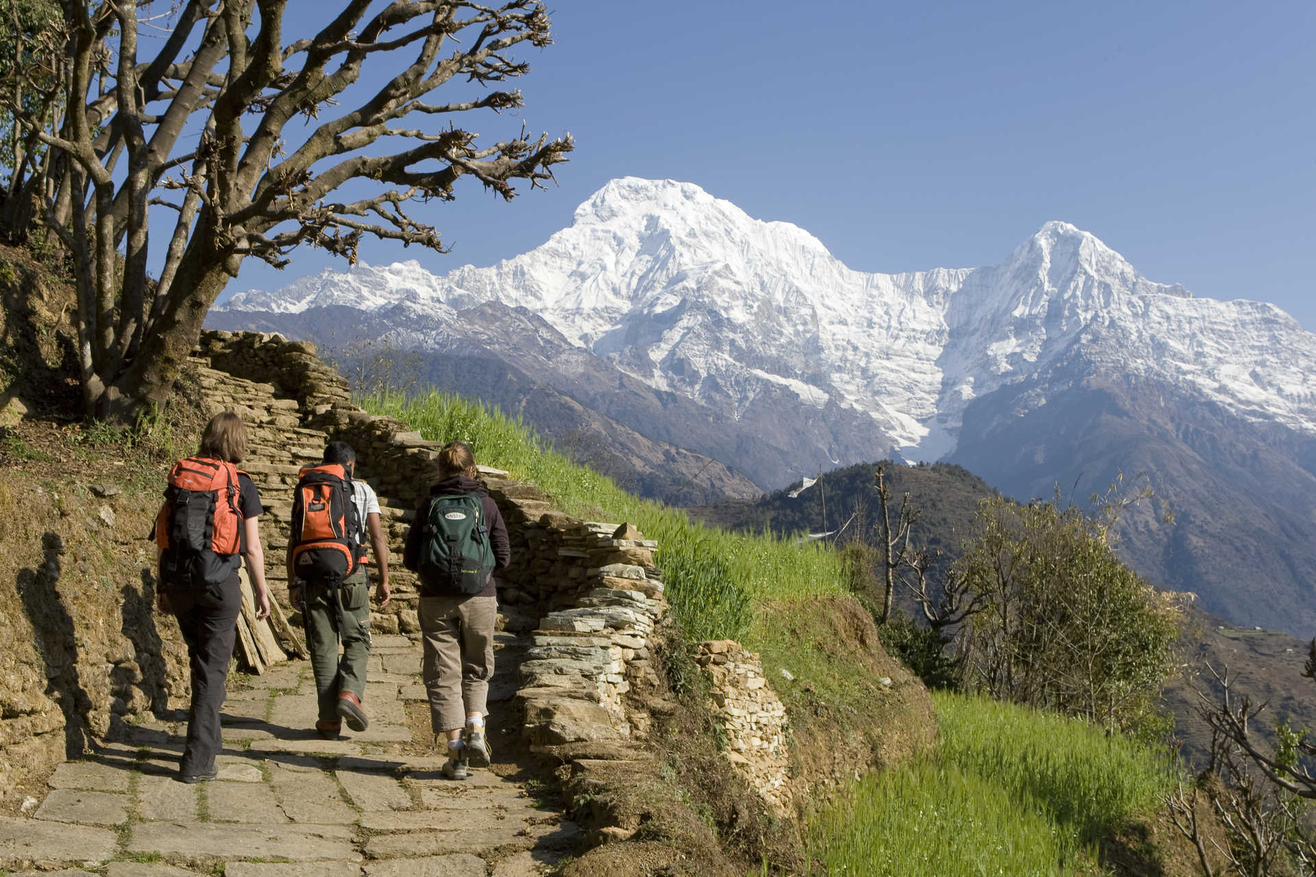 Voyage à pied : Sanctuaire des Annapurnas