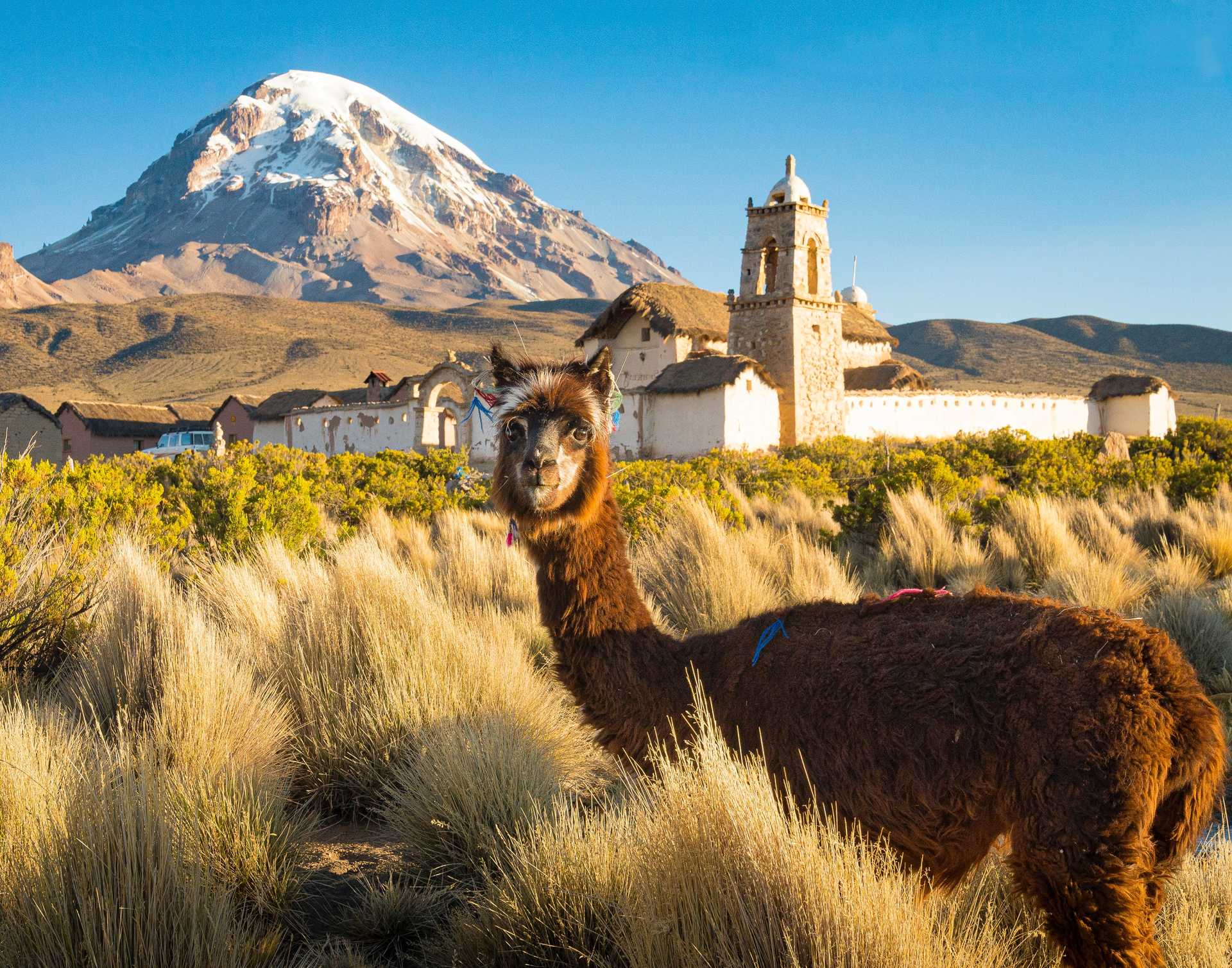 Voyage à thème : Atacama: lagunes, salars et volcans