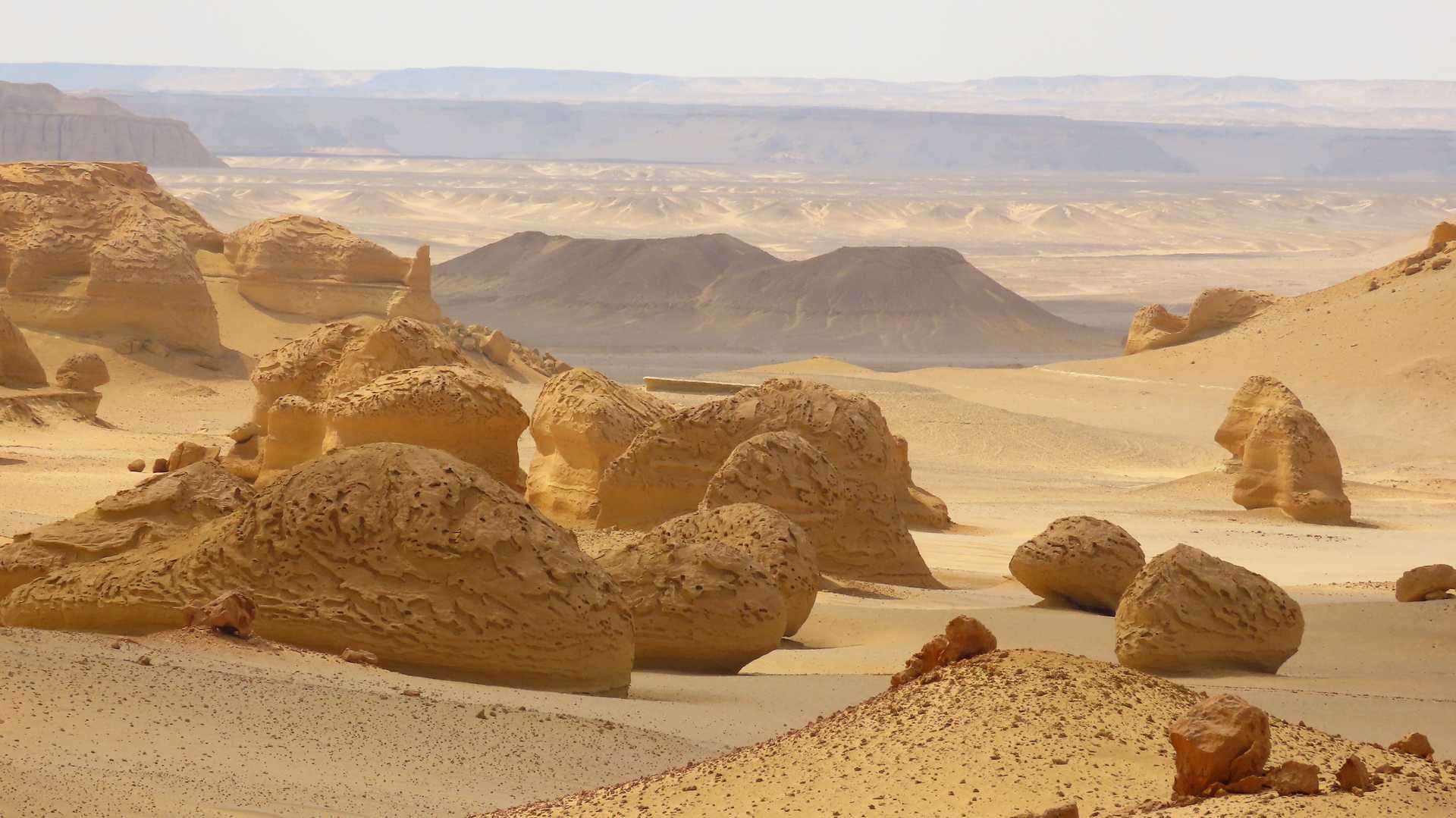 Vallée des Baleines, Oasis de Fayoum, Egypte