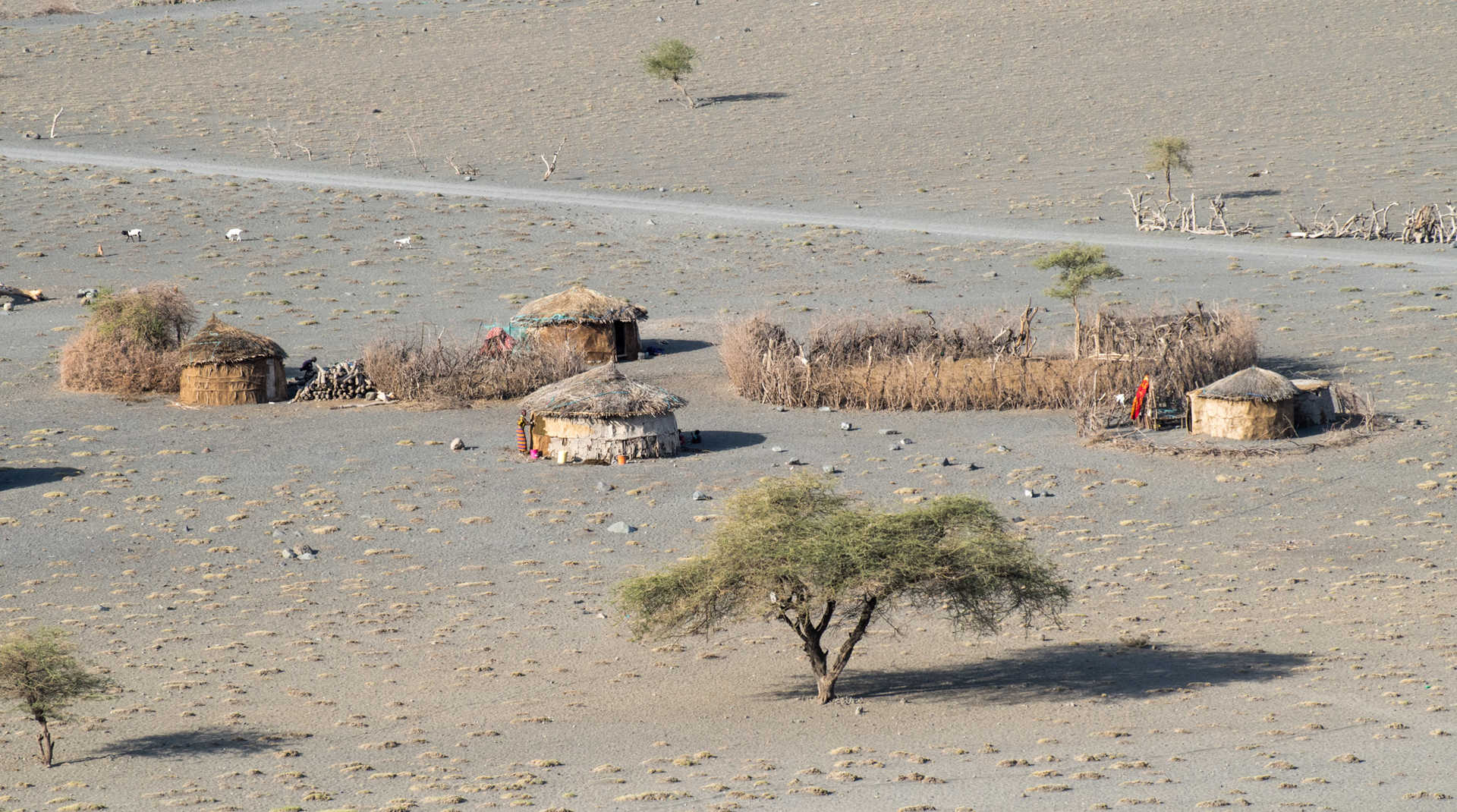 Village masaï