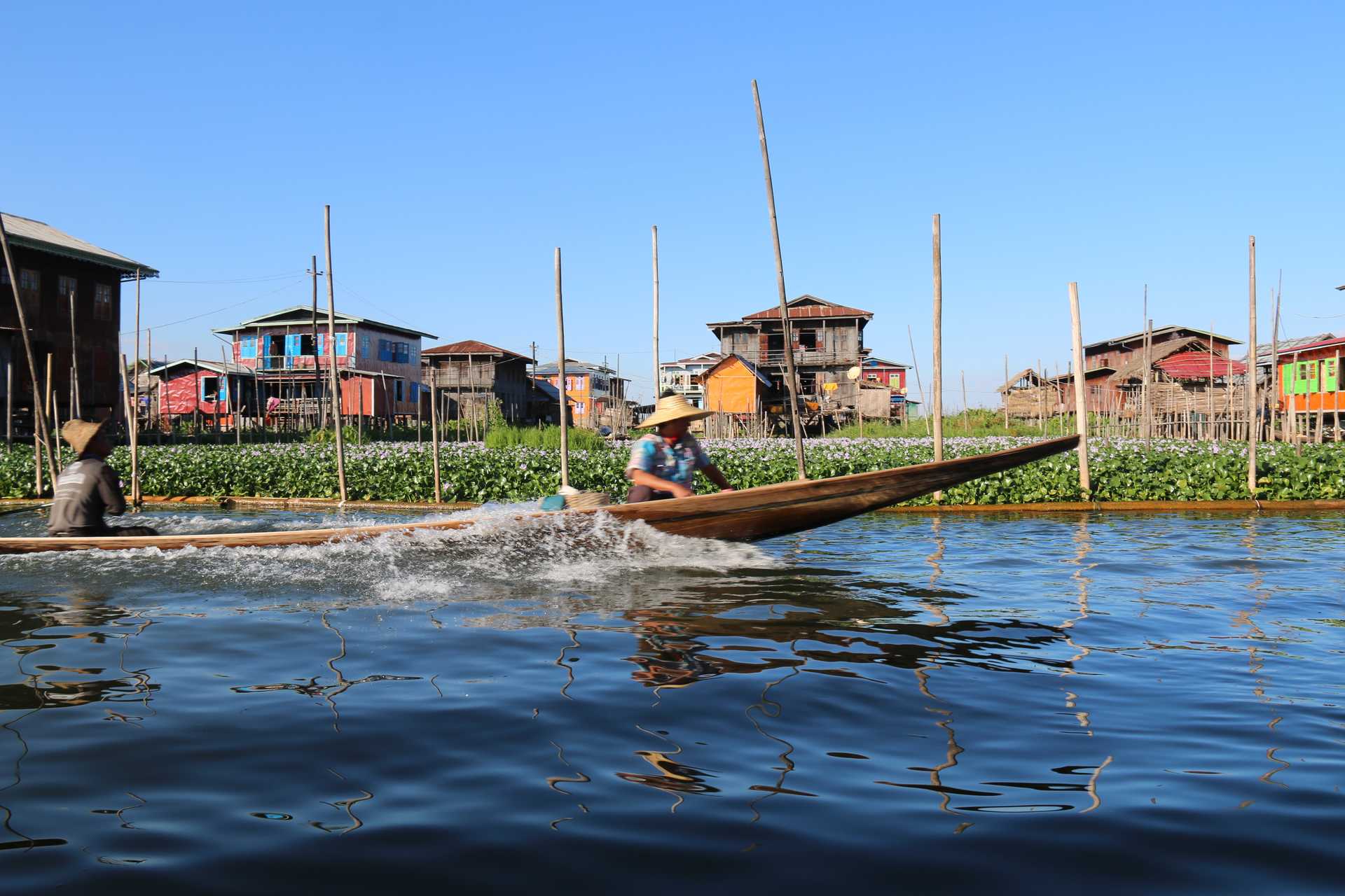 Visite du jardin flottant sur le lac Inle