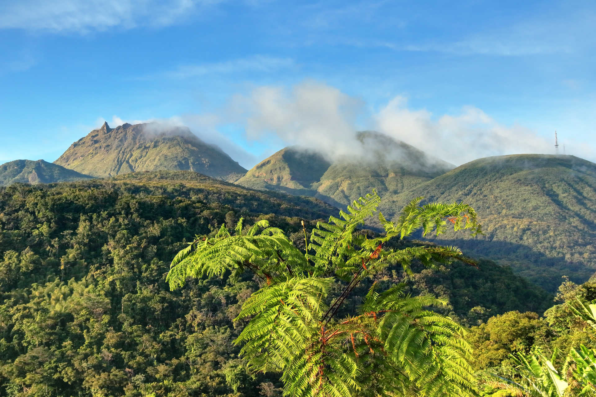 Volcan Soufrière en Guadeloupe