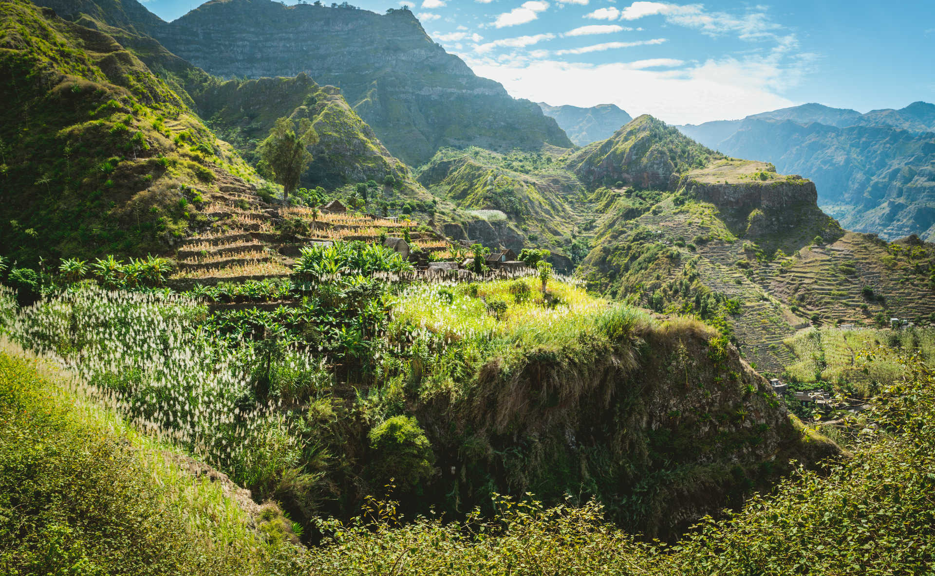 Vue d'ensemble sur des plantations et des champs de divers produits à santo antao, l'environnement est très vert