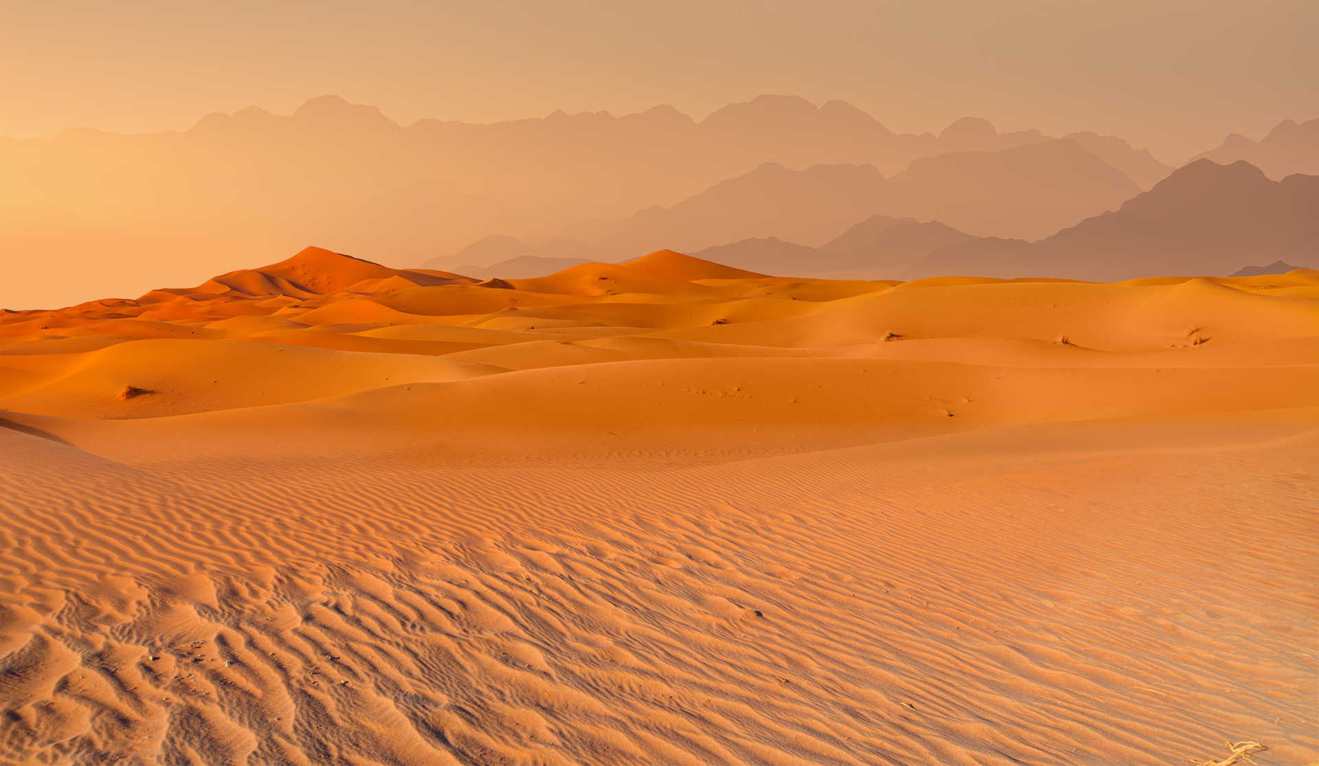 Vue panoramique du désert Namib, en Namibie