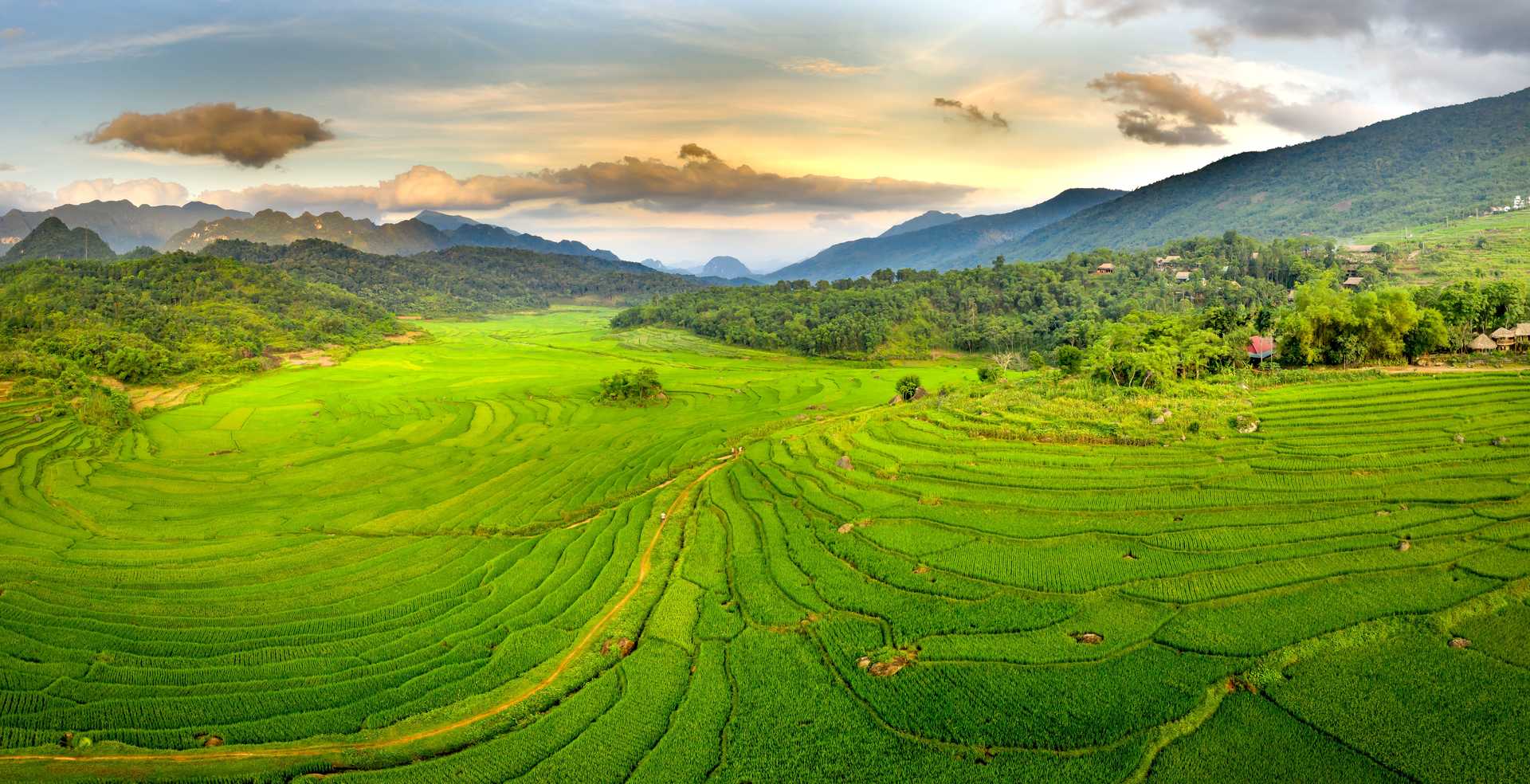 Vue panoramique sur les terrasses verdoyantes de Pu Luong, VietNam