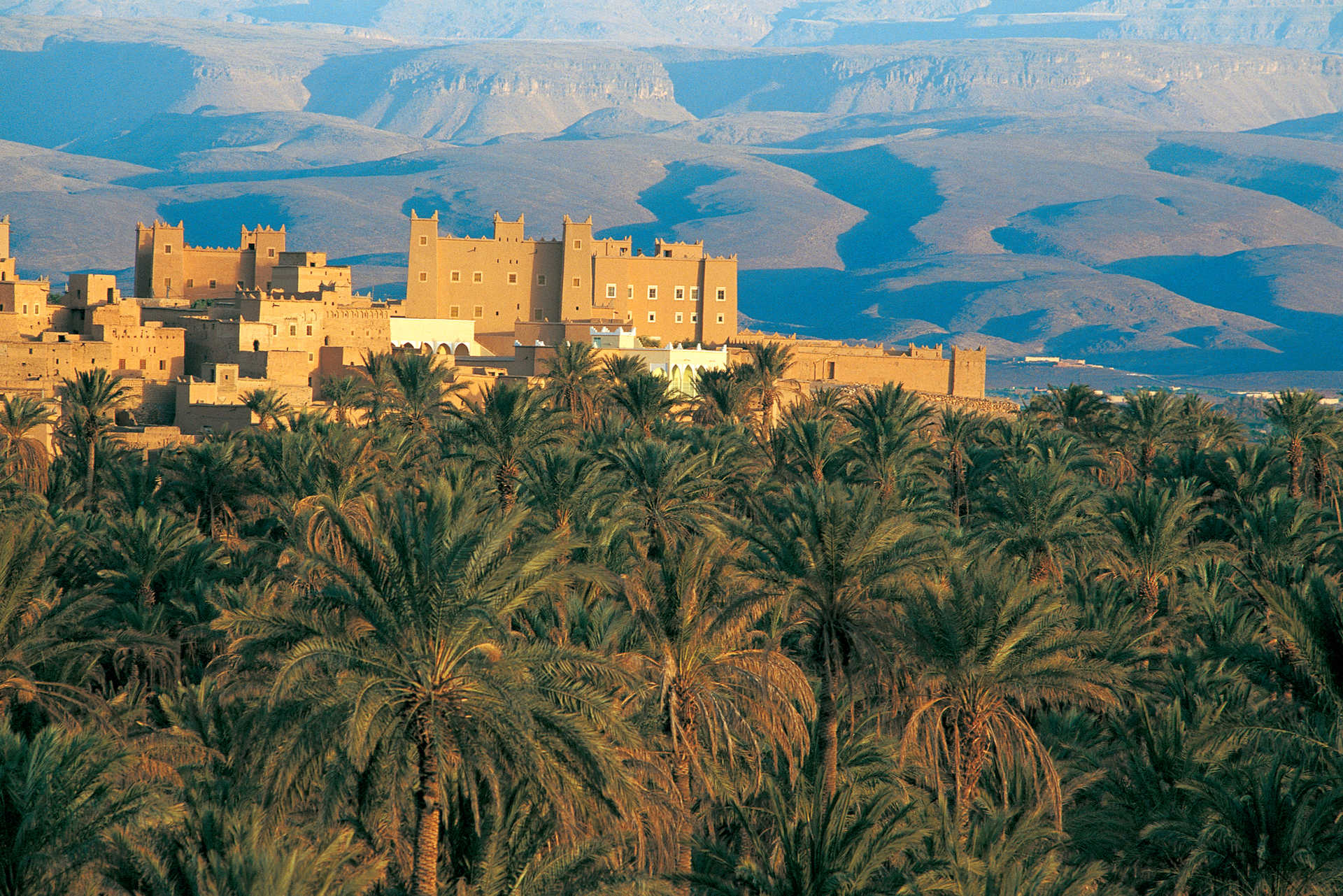Vue sur la Palmeraie de Tazzarine - © RUIZ Palmeraie Tazzarine Maroc