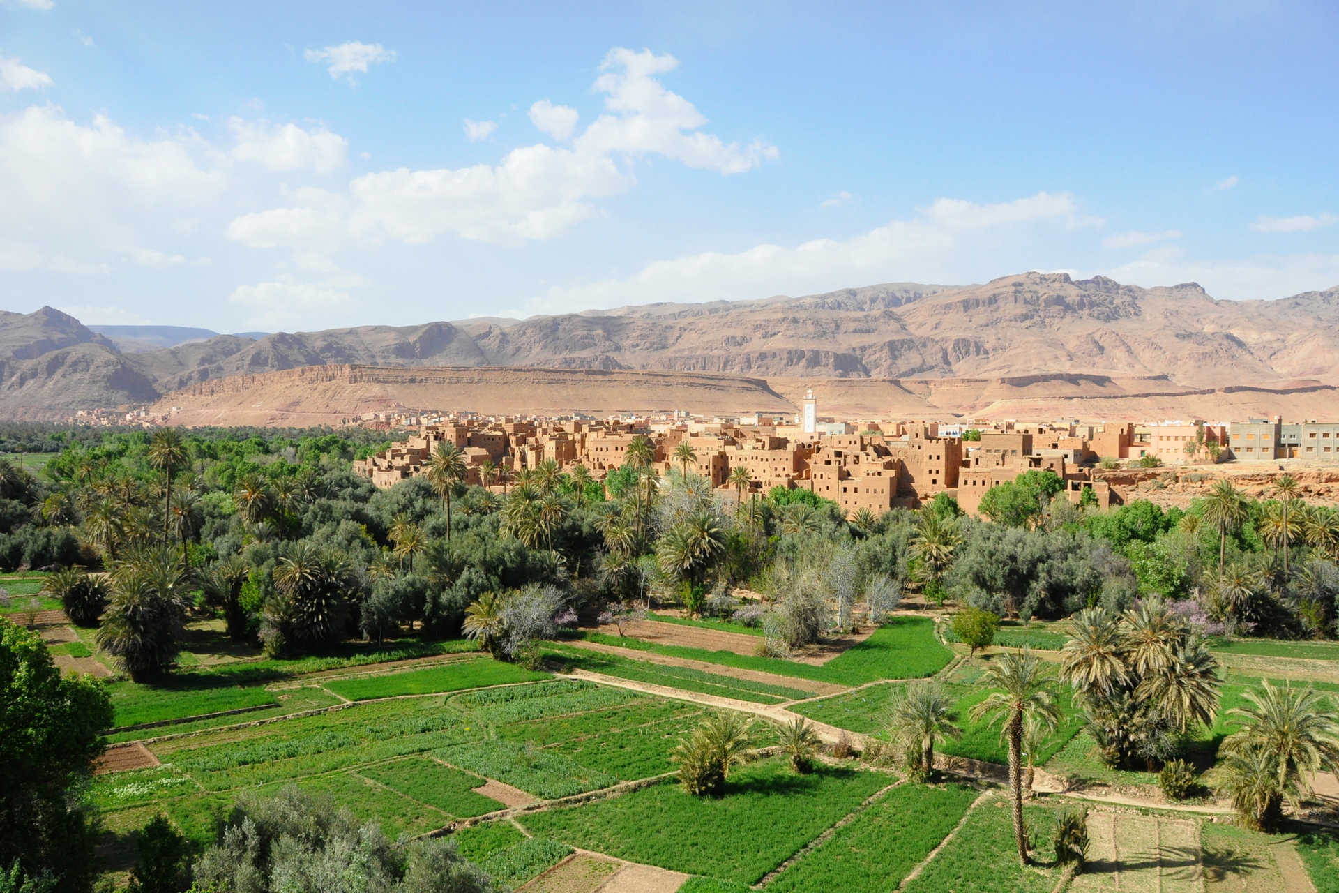 Vue sur la palmeraie de Tineghir près des gorges du Todra au maroc