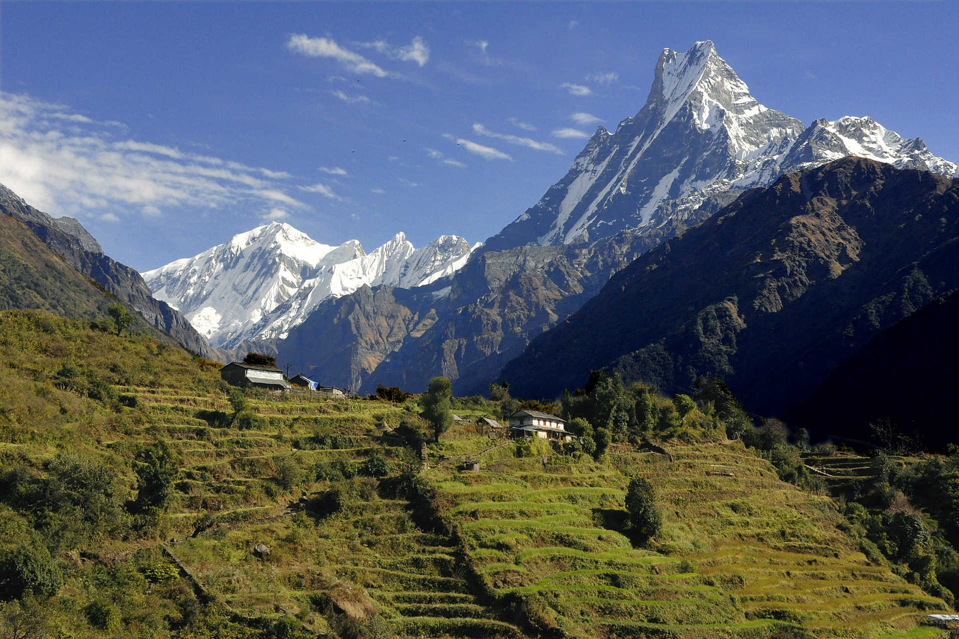 trek népal, trek annapurna, trek sanctuaire des annapurnas