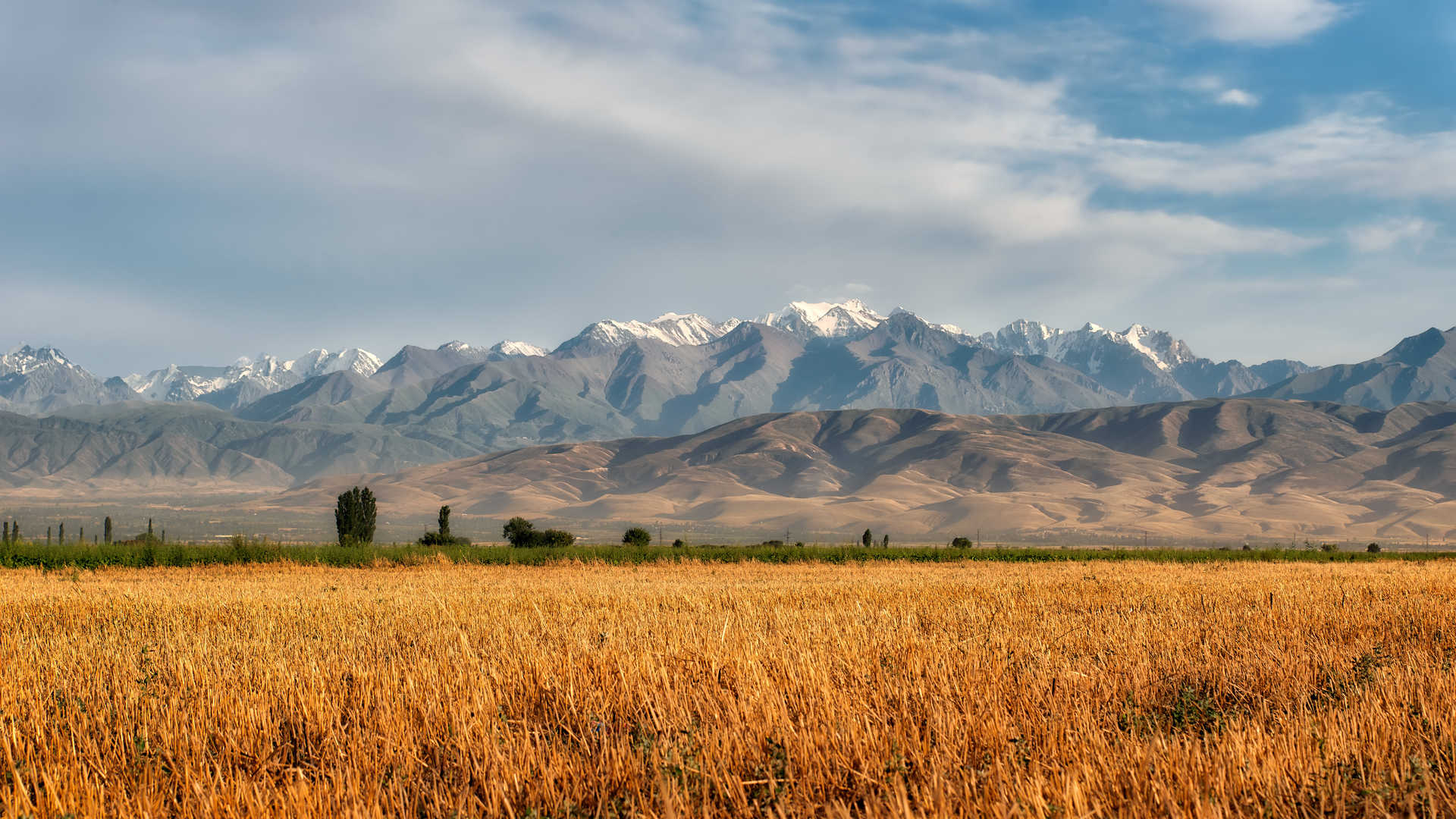 Vue vers le Kirghizistan dans le sud du Kazakhstan