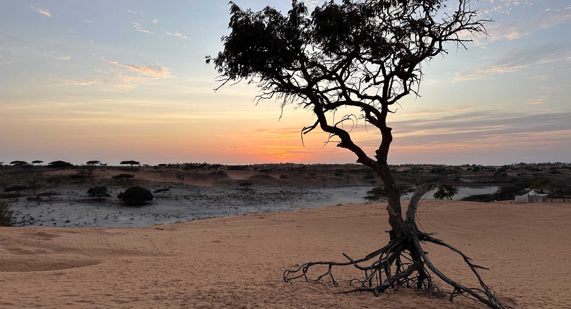 Sénégal authentique : entre dunes, mangroves et traditions - Voyage Sénégal