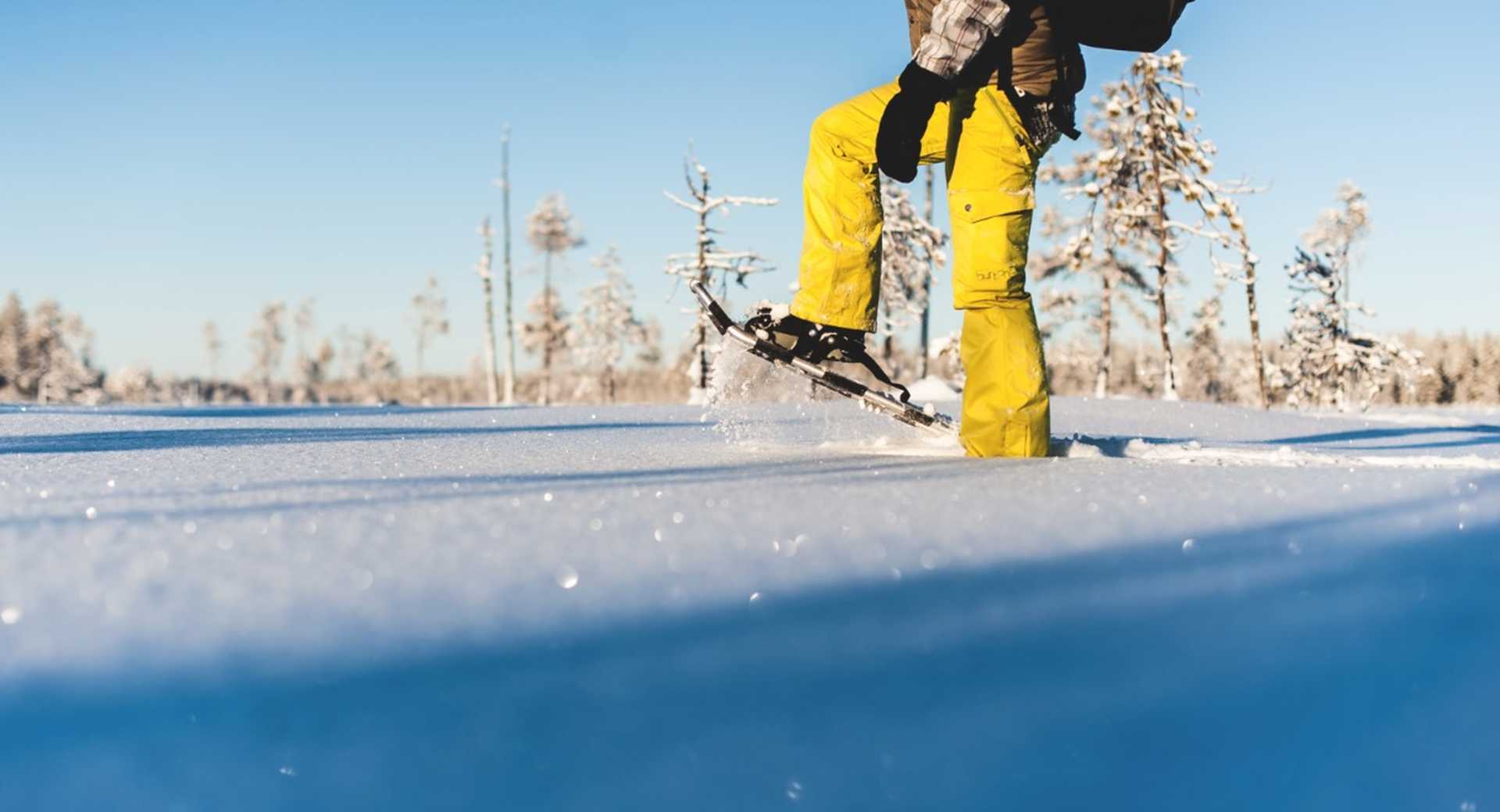 Activité raquettes en Laponie Suédoise