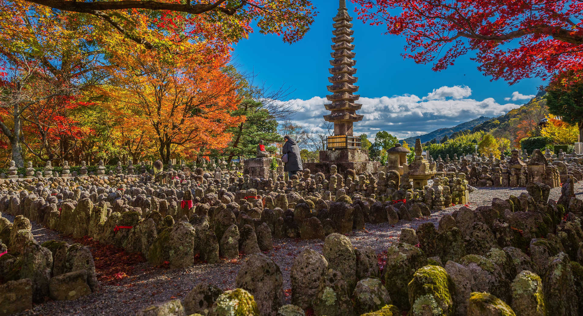 Trek - Merveilles du Japon : de Tokyo à Osaka - Voyage Japon