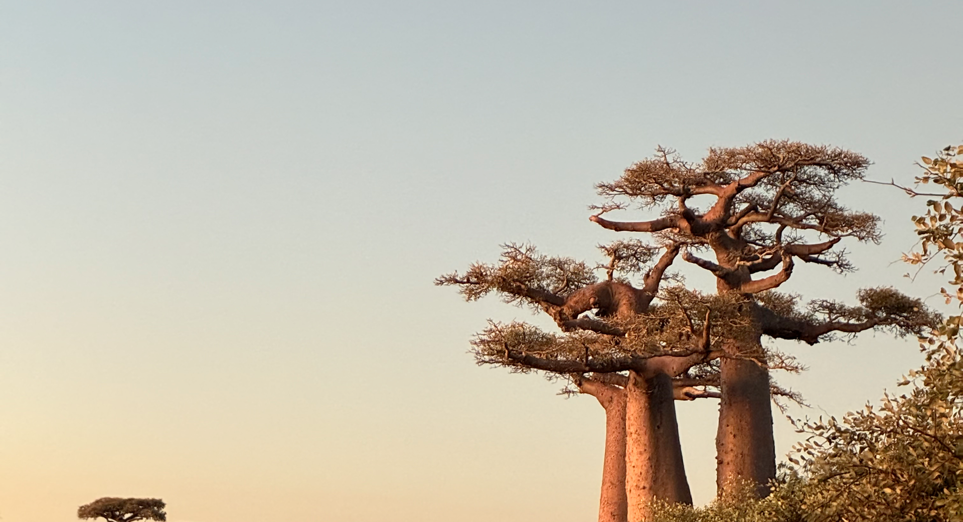 L'Ouest sauvage et les Hautes Terres - Voyage Madagascar