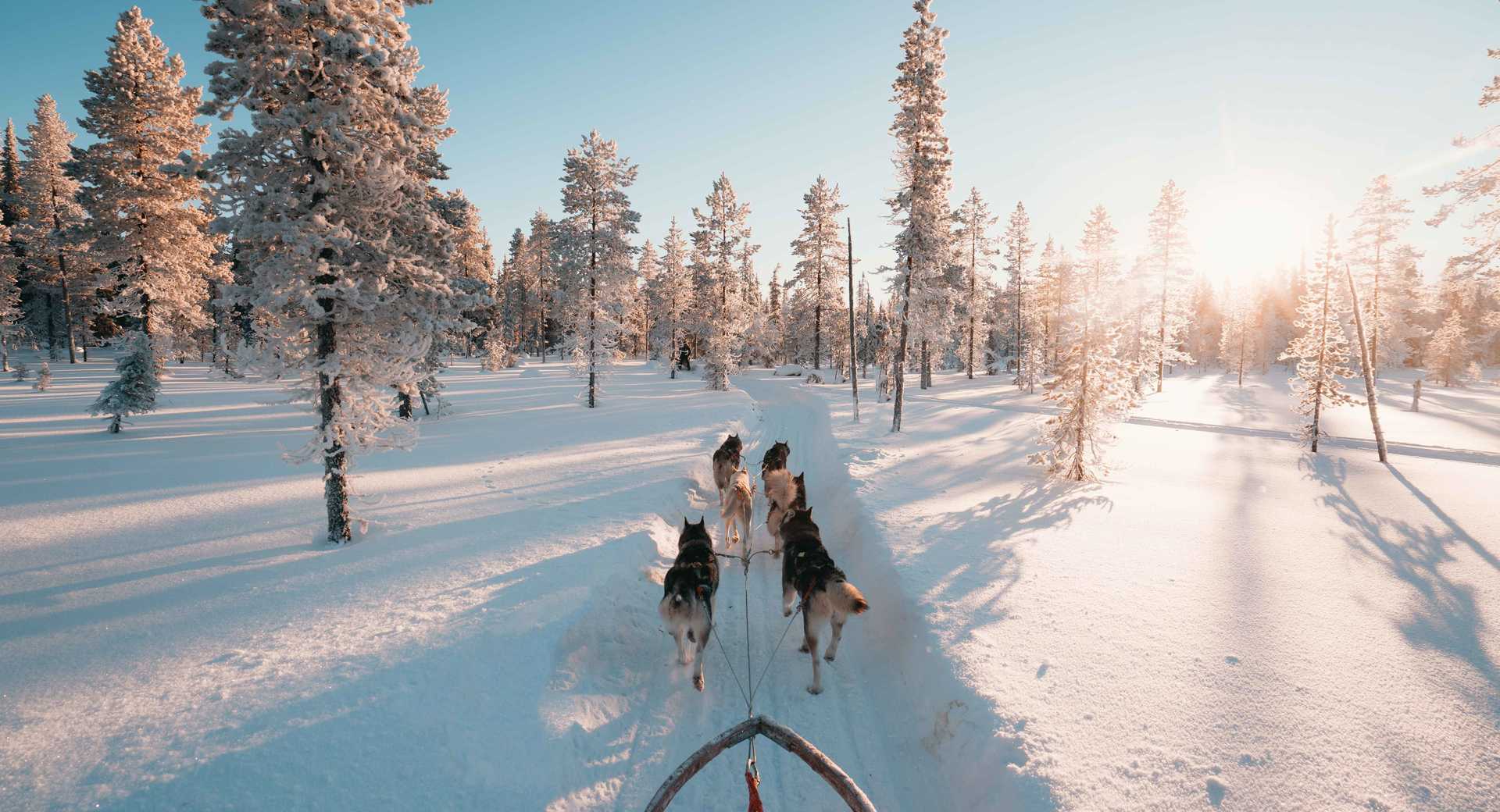 Trek - Evasion Boréale - Voyage Finlande