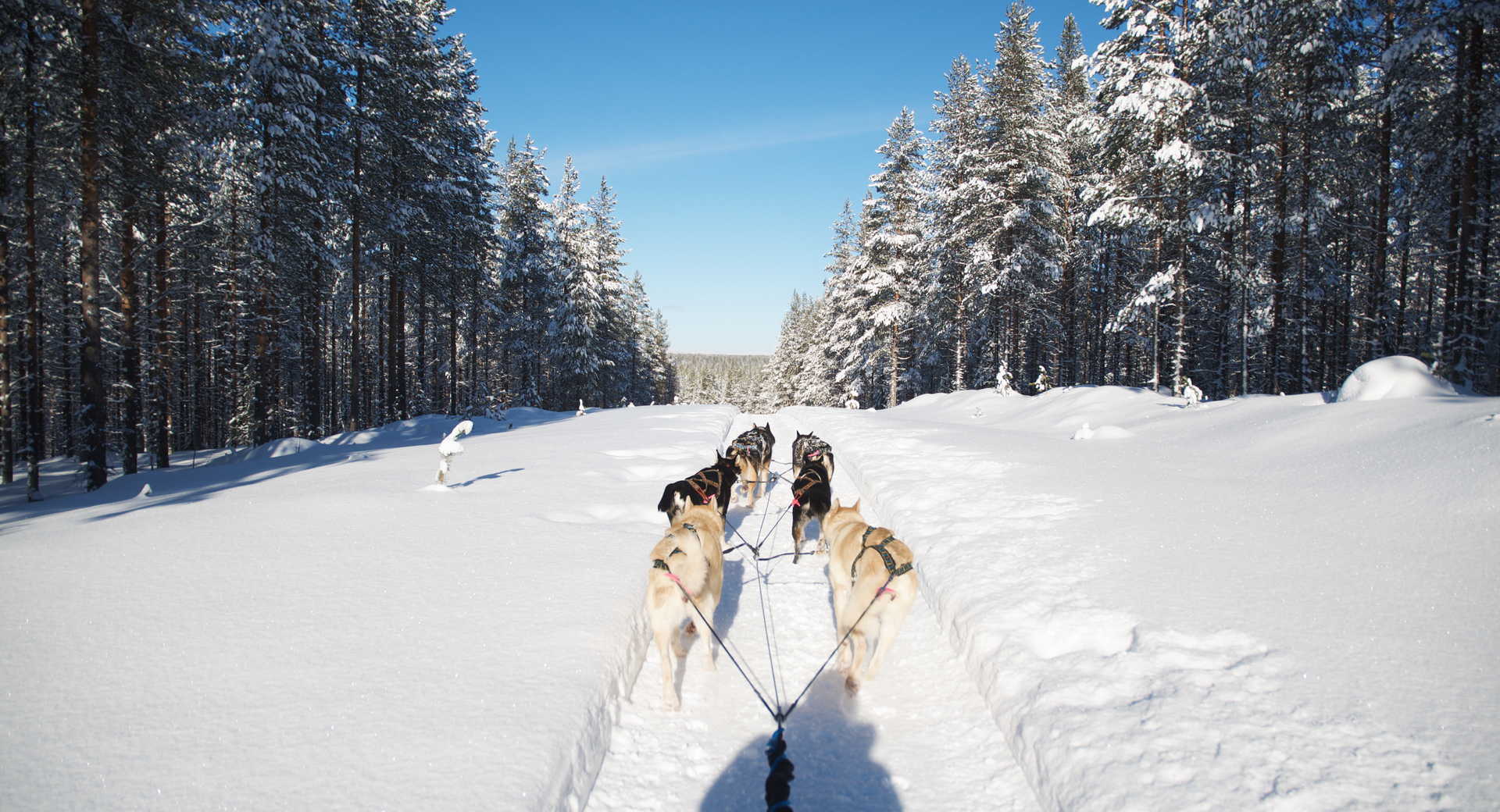 Multi activités à Hossa - Voyage Finlande