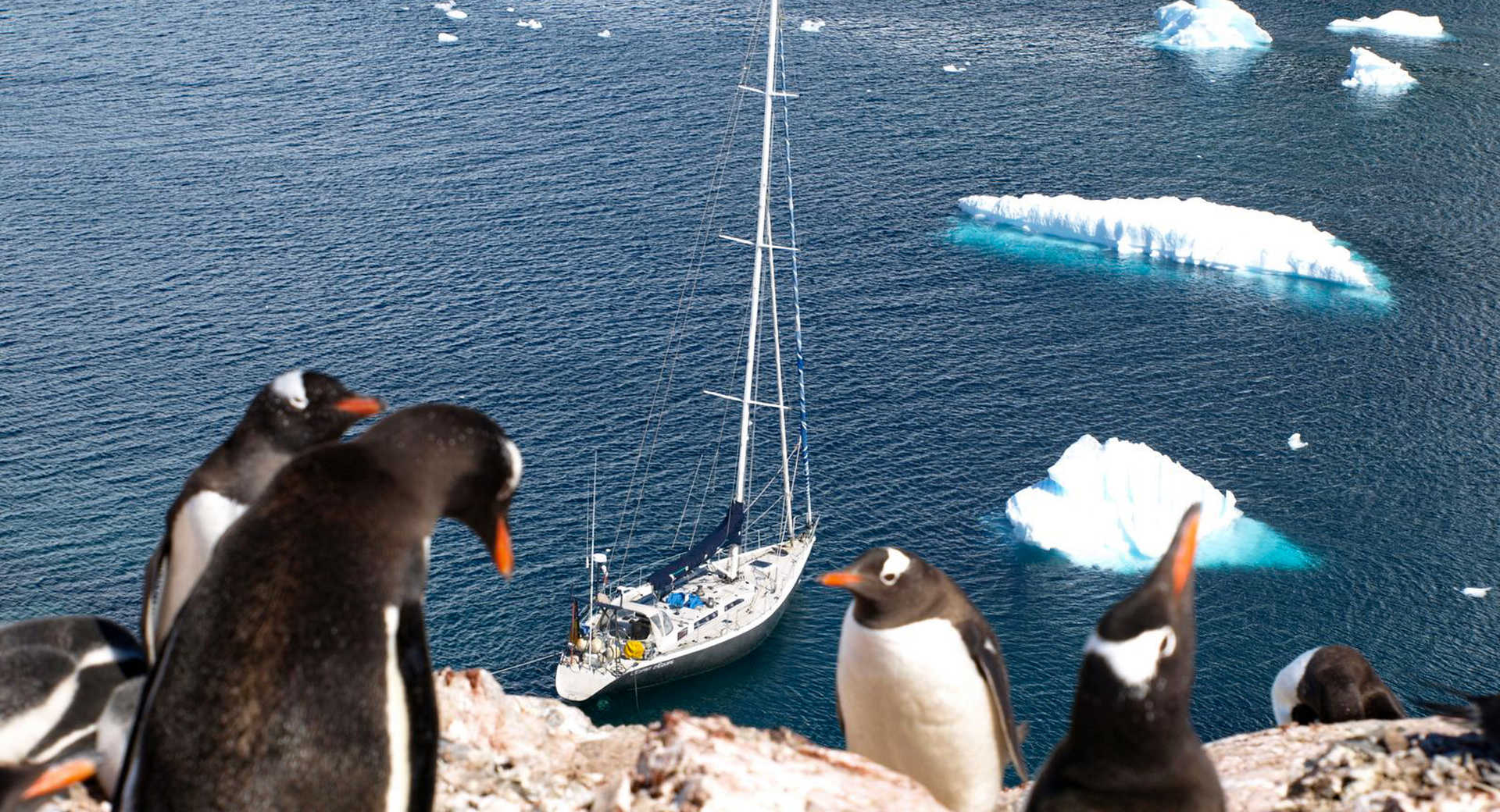 Croisière Antarctique à bord du voilier Esprit d'équipe - © Esprit D'équipe Croisière Antarctique à bord du voilier Esprit d'équipe