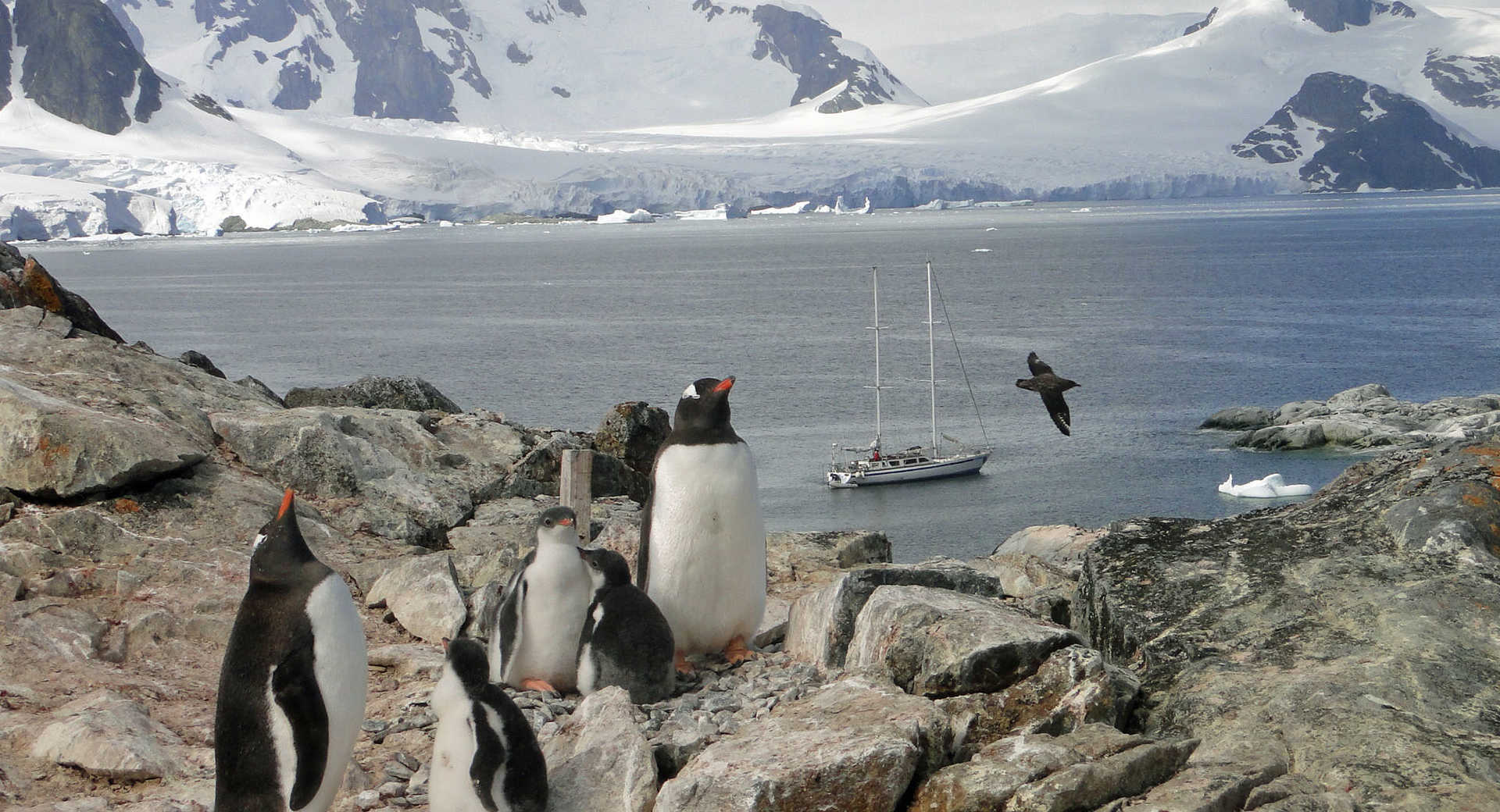 © Mar Y Poles Photo d'une croisière polaire en antarctique