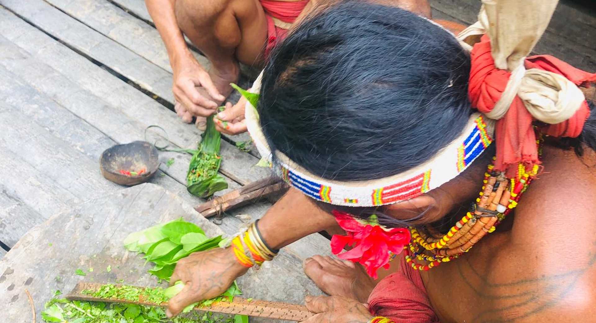 Trek - Sumatra : Immersion dans la tribu des Hommes Fleurs - Voyage Indonésie