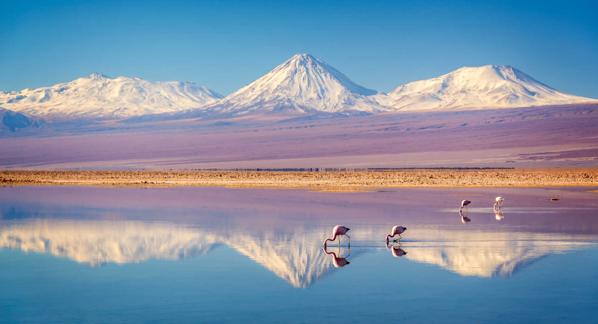 Trek - Atacama : lagunes, salars et volcans - Voyage Chili