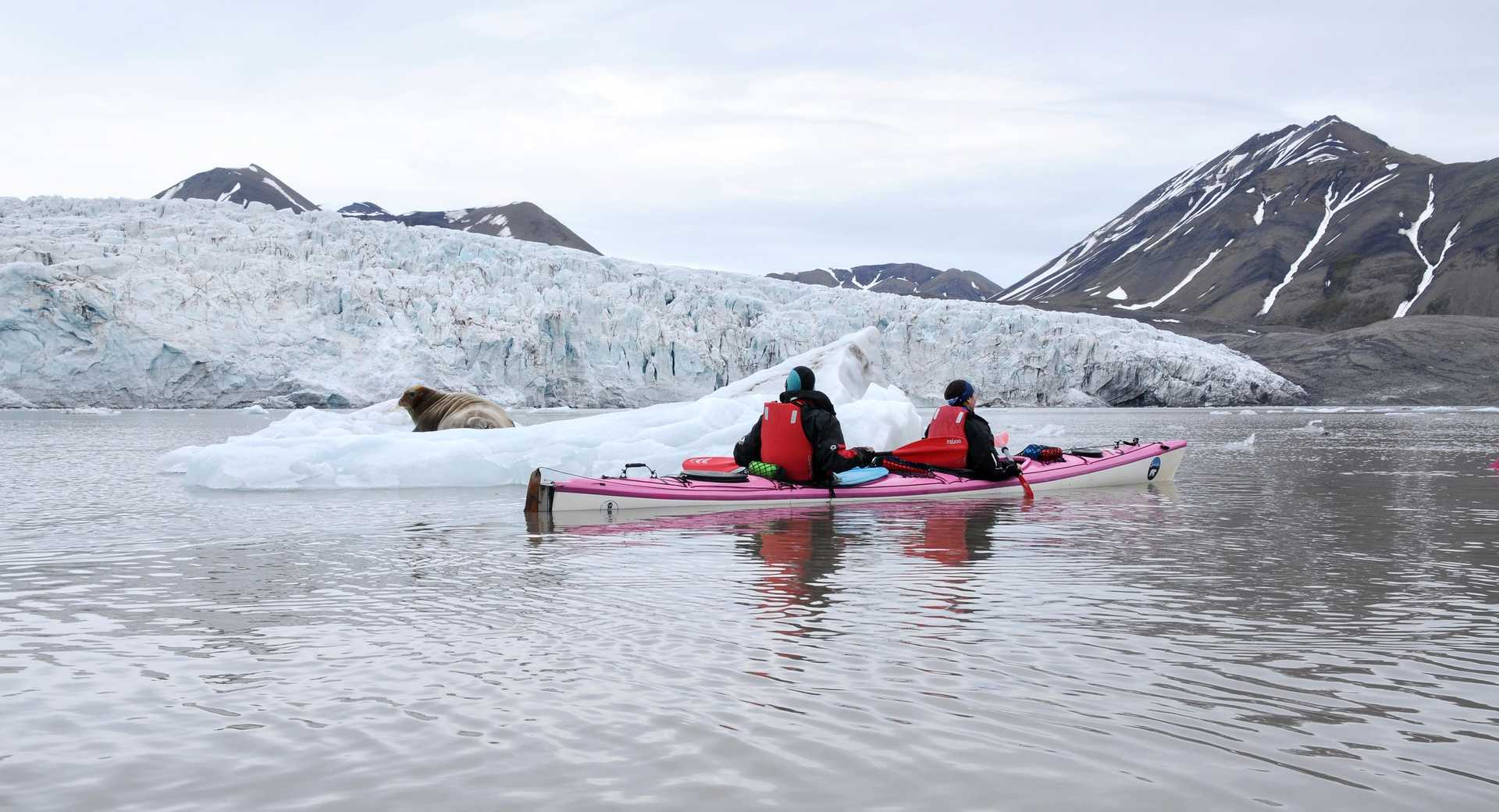 Kayak et phoque en Arctique