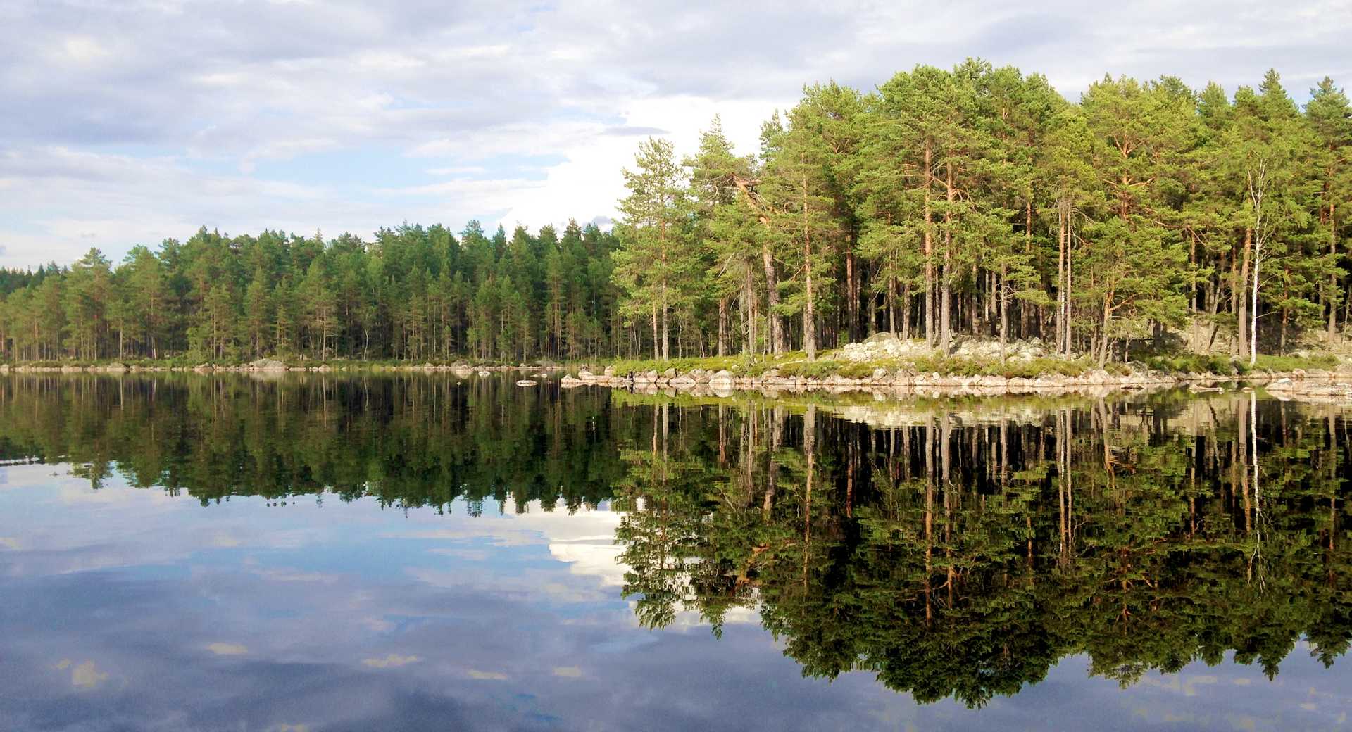 Lac en Suède l'été