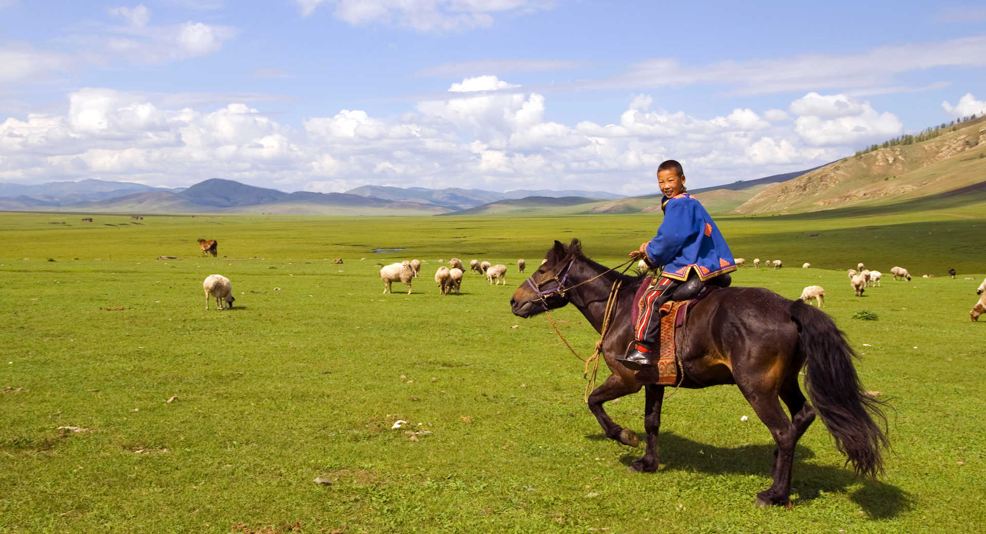 voyage mongolie cheval