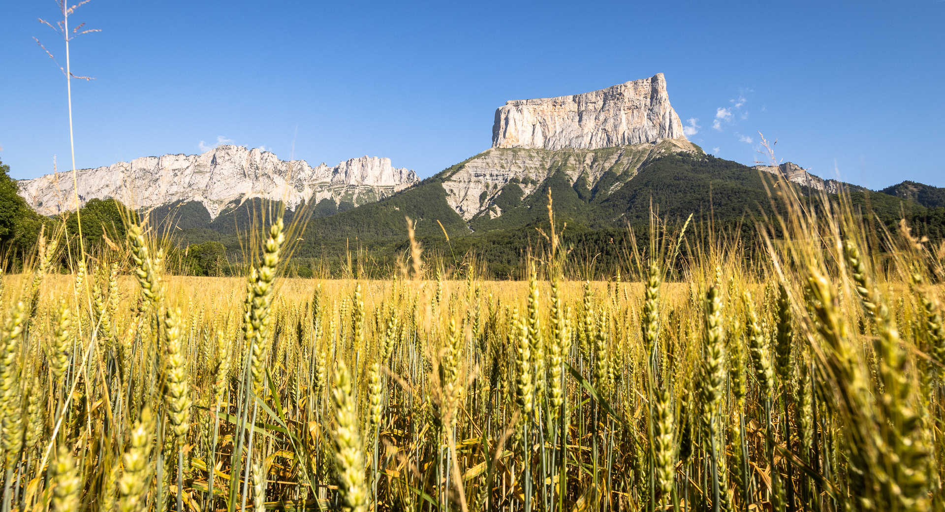 Trek - Trek itinérant dans le Vercors : Hauts Plateaux et Mont Aiguille - Voyage France