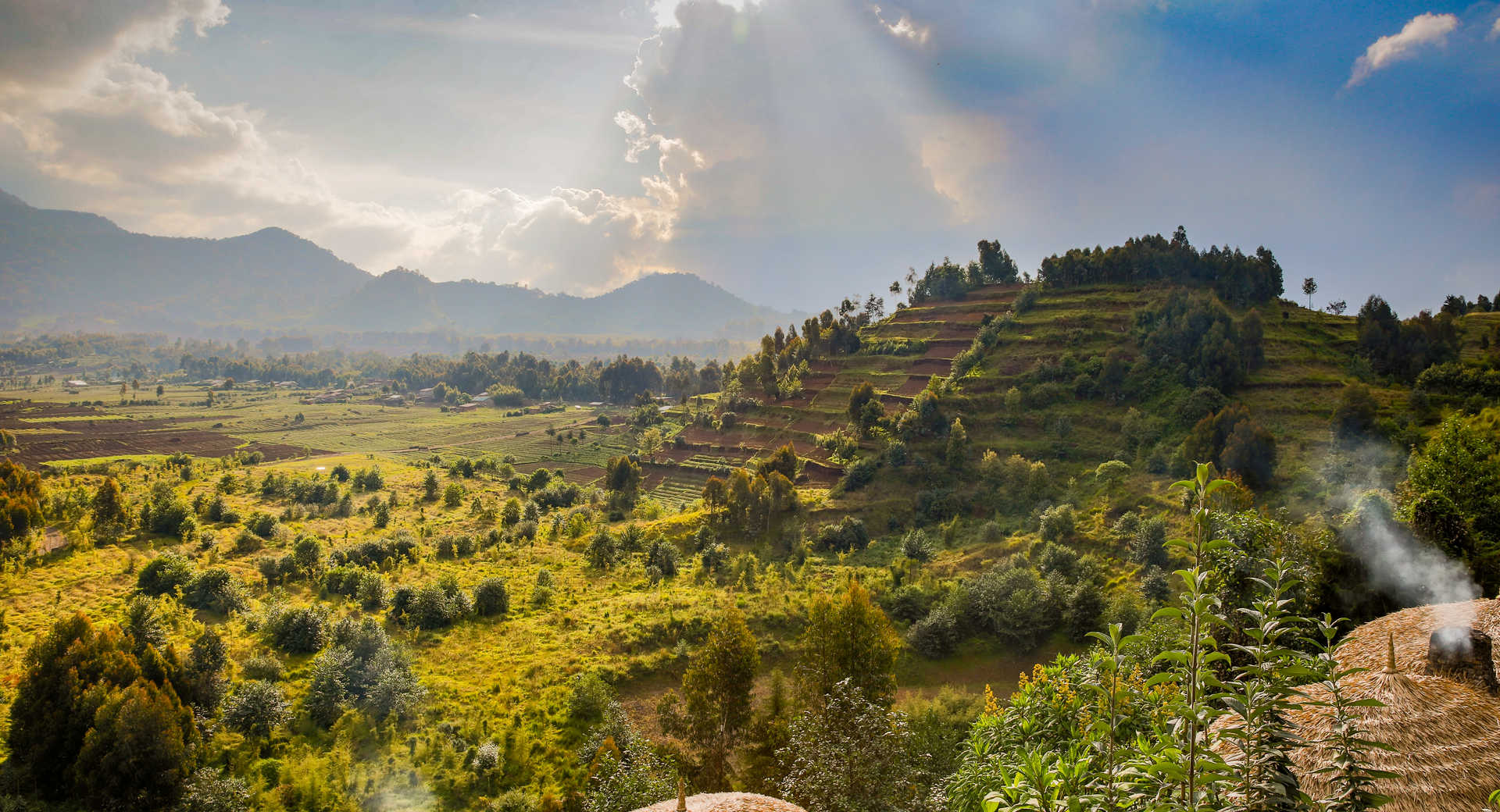 Voyage en Haute Montagne - Ascension du Ruwenzori : conquête des montagnes de la lune - Voyage Ouganda