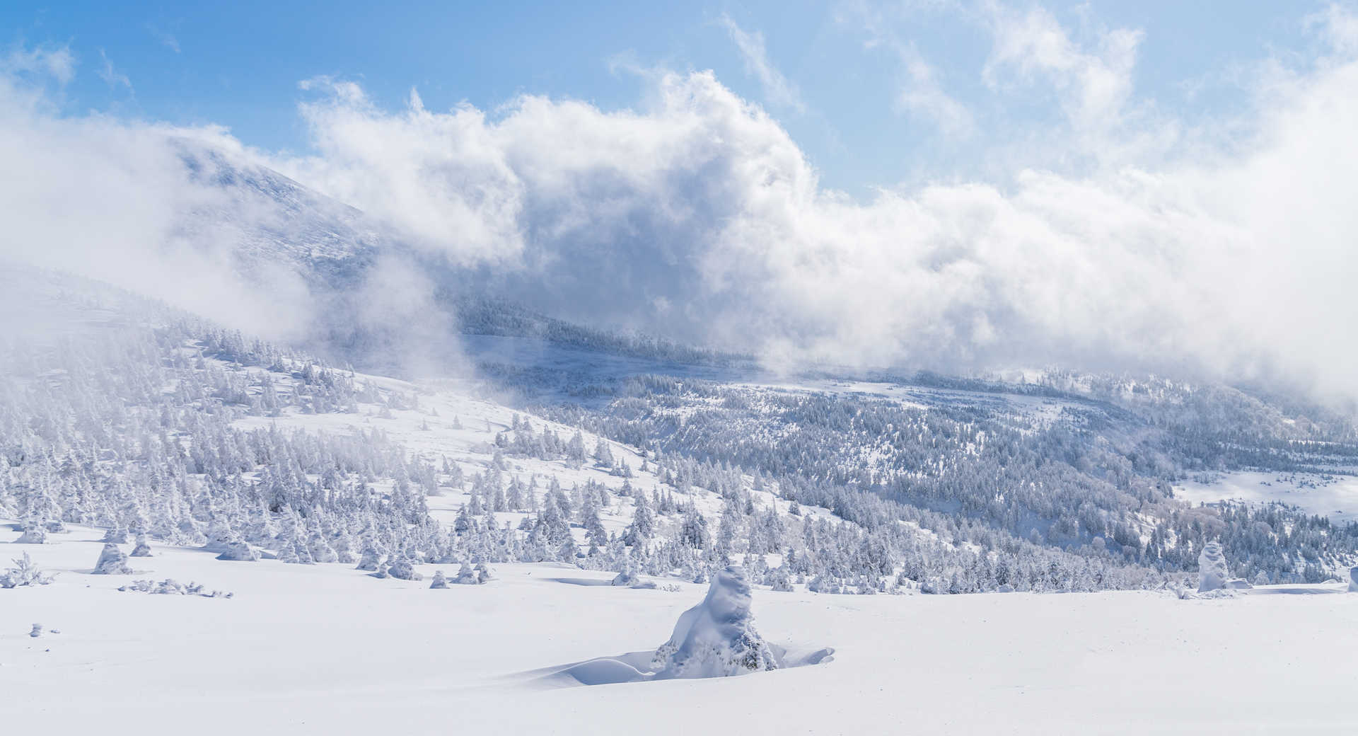 Trek - Japon d\'hiver : immersion entre nature et traditions - Voyage Japon
