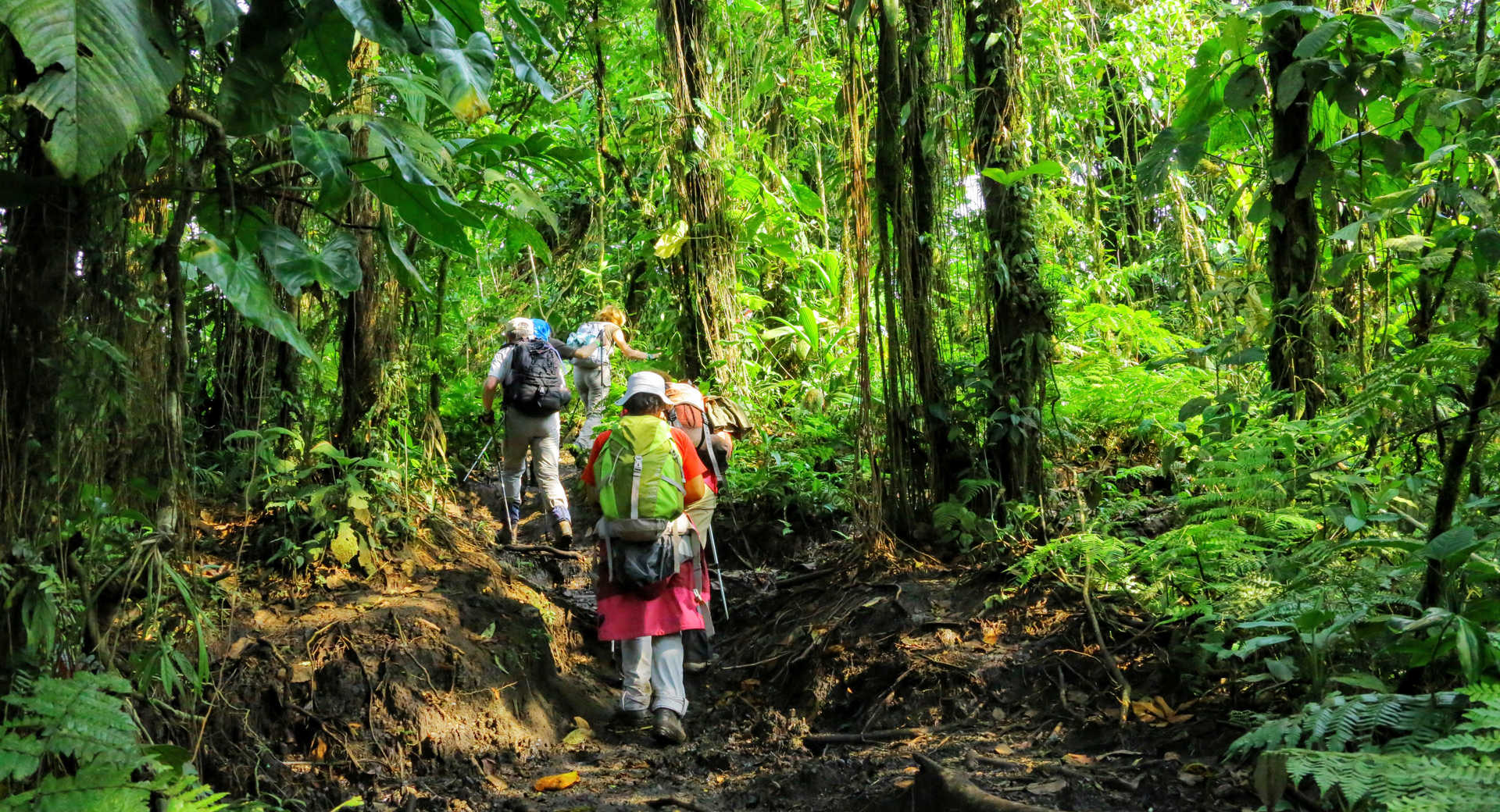 Trek - Randonnées tropicales et Pura Vida - Voyage Costa Rica