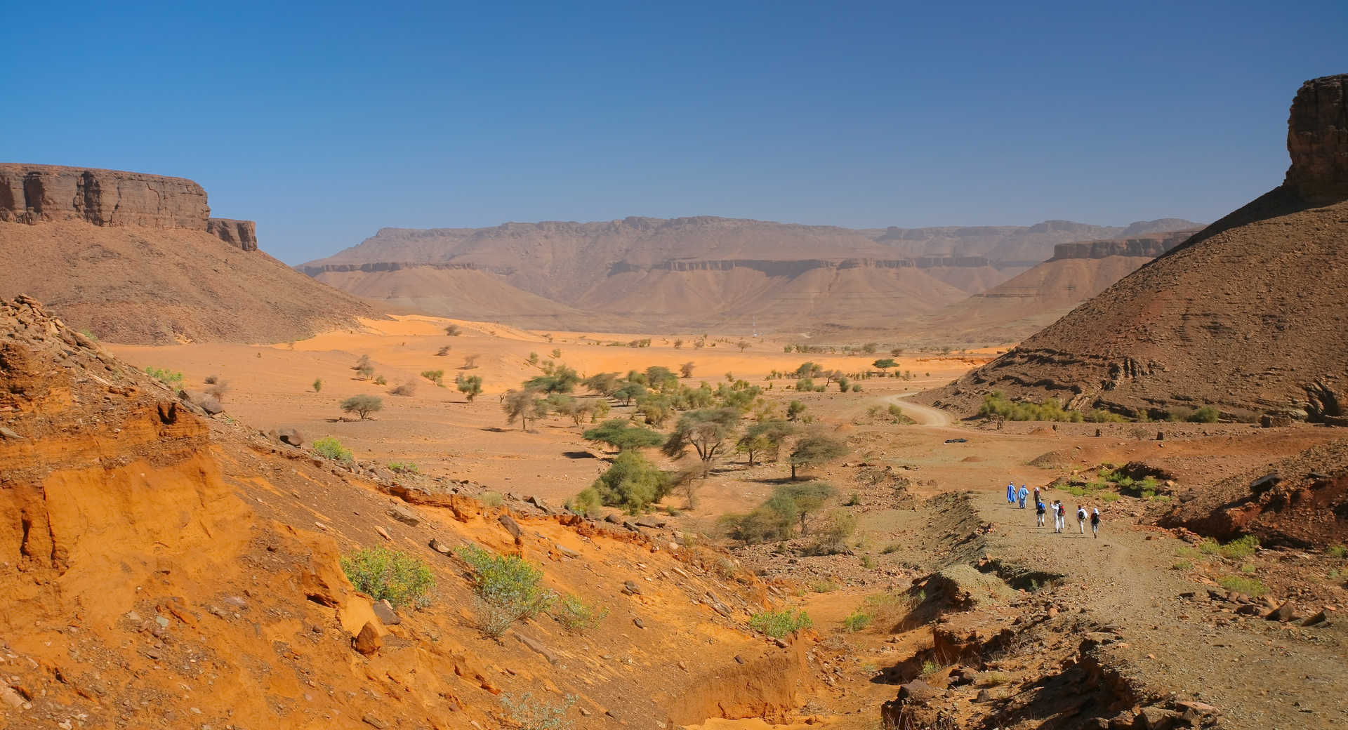 Trek - Vallée Blanche, oasis et dunes de l\'erg Amatlich - Voyage Mauritanie
