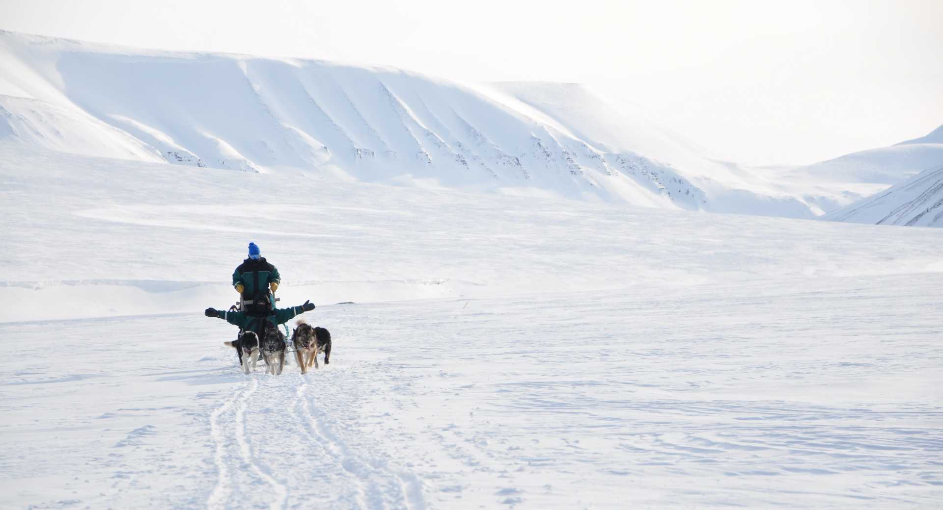 Randonnée chien de traîneau © De La Brosse Vidian Randonnée chien de traîneau au Spitzberg