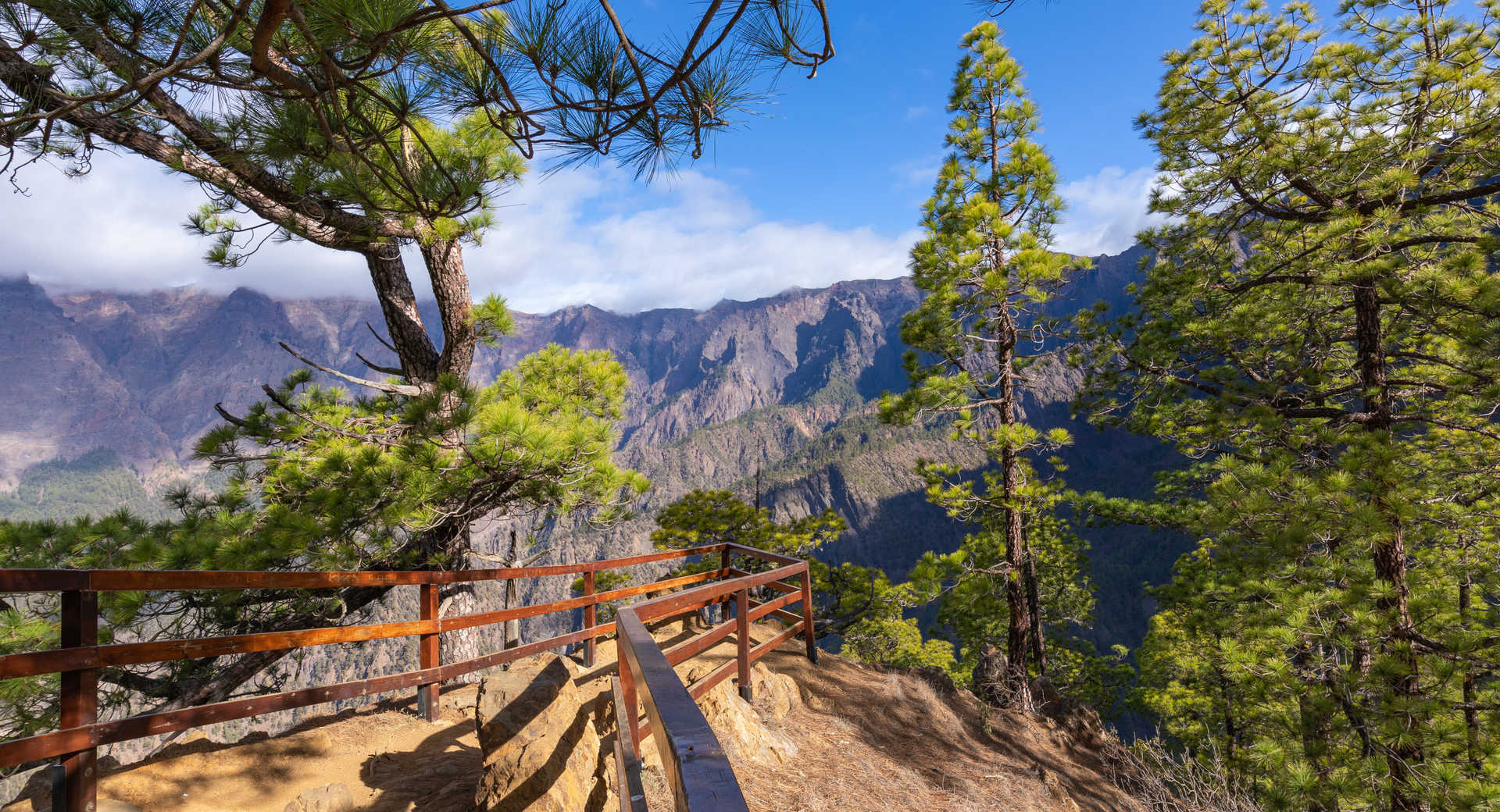 Trek à La Palma, réserve mondiale de la Biosphère - Voyage Canaries ...