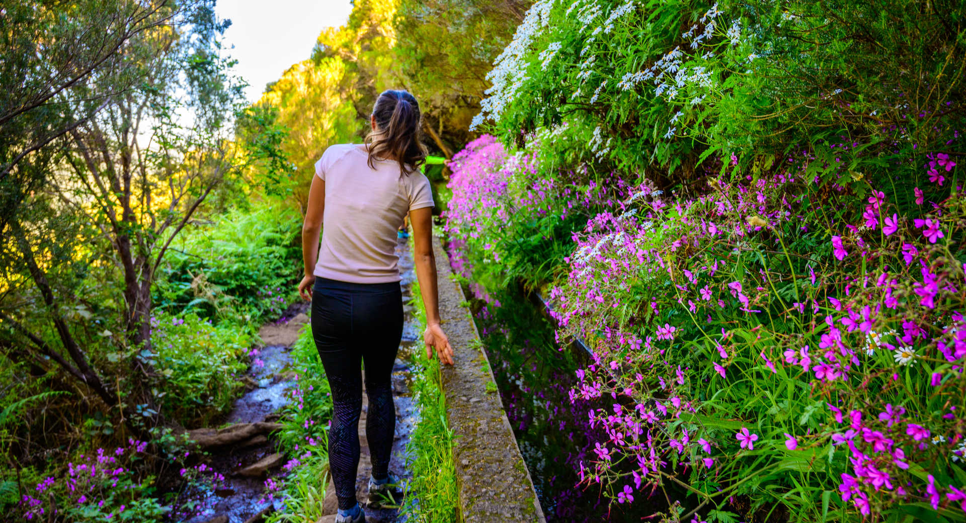 Trek - Le meilleur de l\'île aux fleurs en 12 jours - Voyage Madère