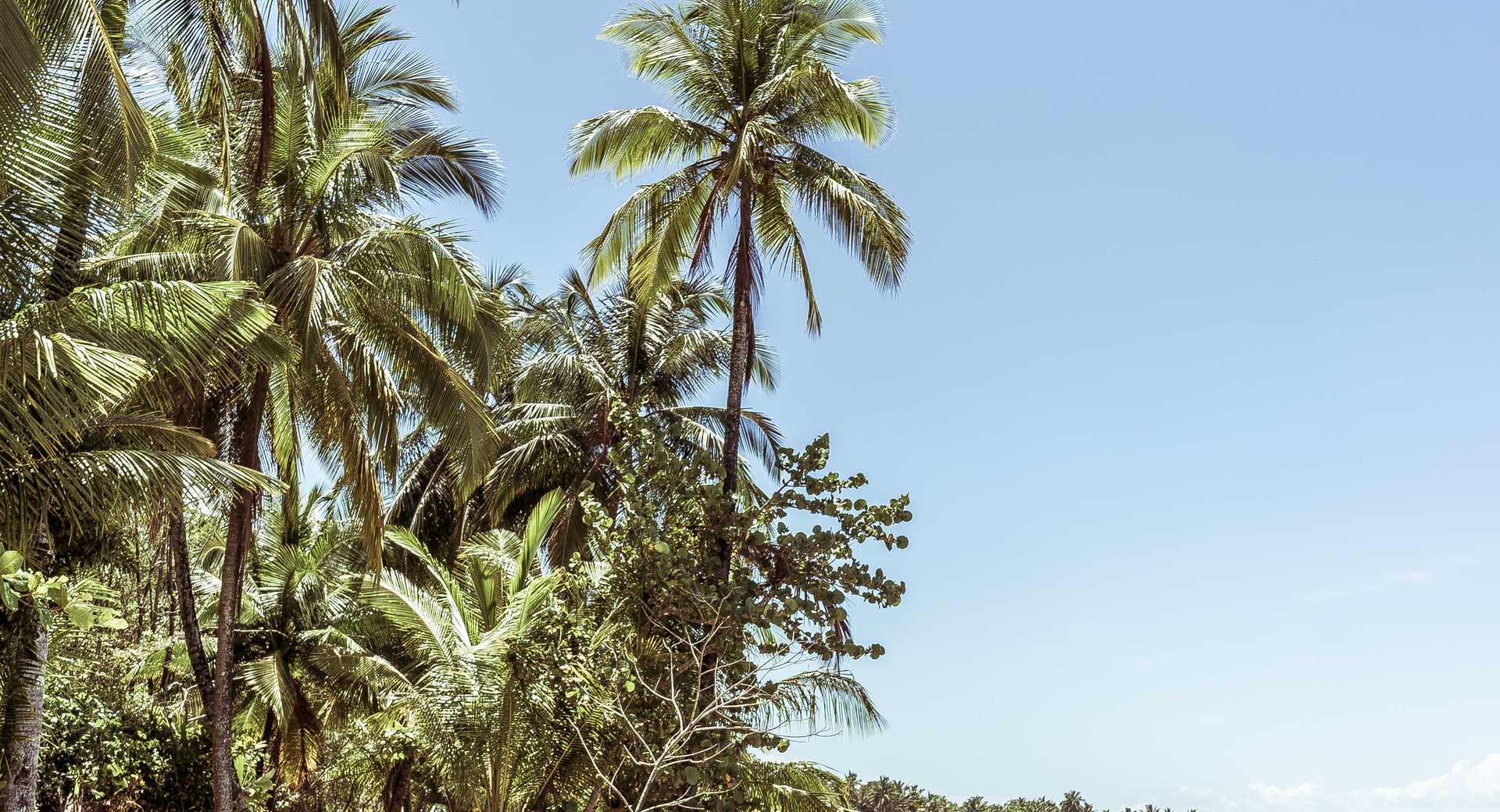 Trek - Découverte entre jungle et océans - Voyage Panama
