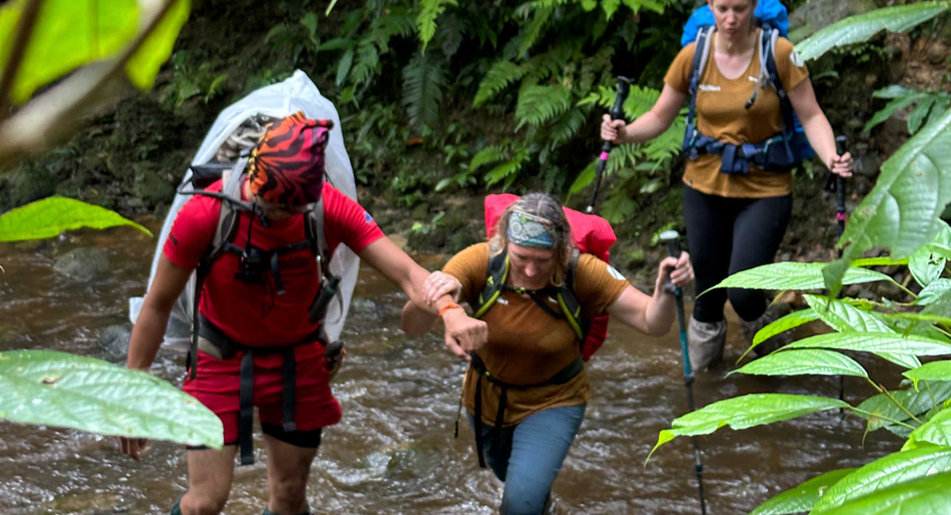 Trekking dans la jungle à Bornéo - Voyage Malaisie