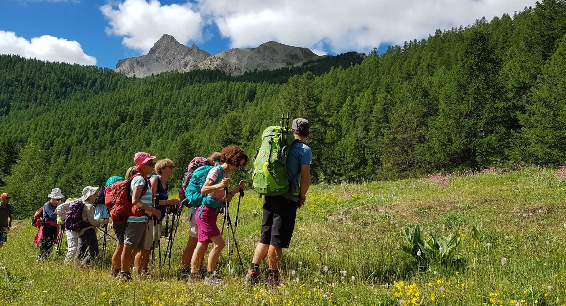 Trek - Les balcons du Queyras en randonnée - Voyage Alpes