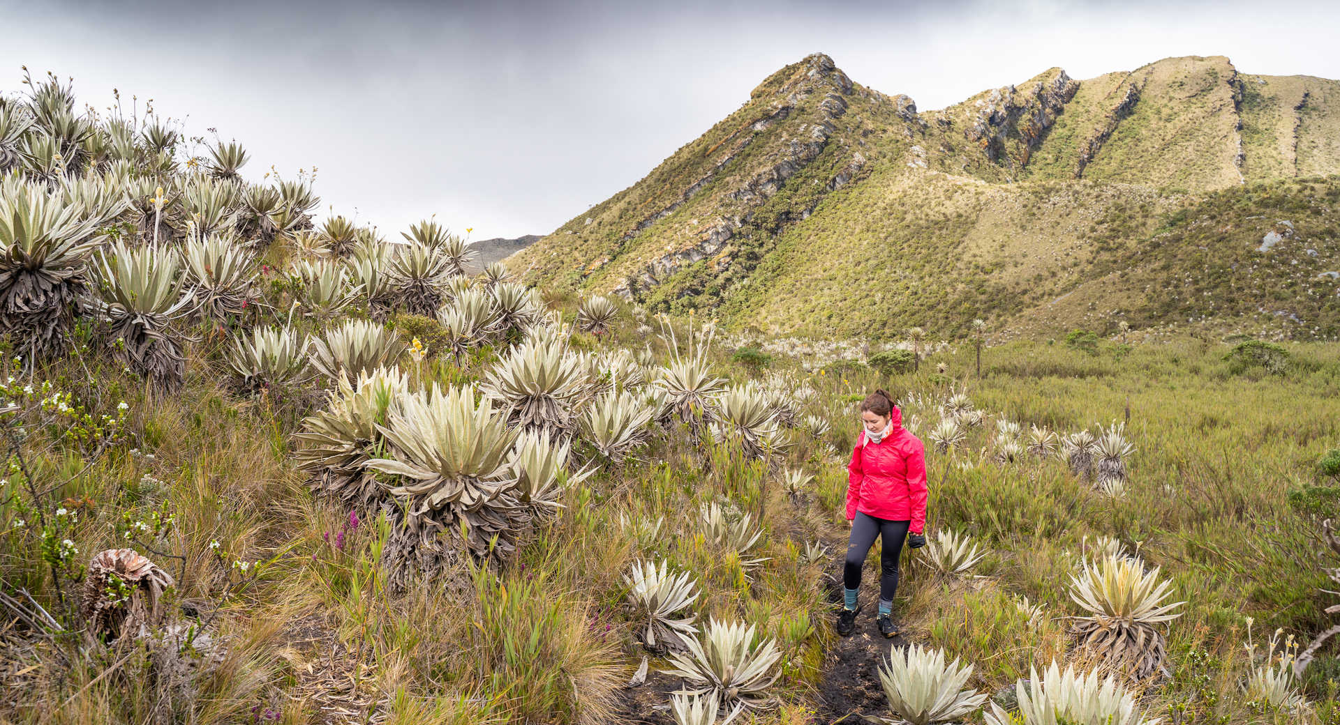 Trek - Randonnées colombiennes, entre Sierras et Caraïbes - Voyage Colombie