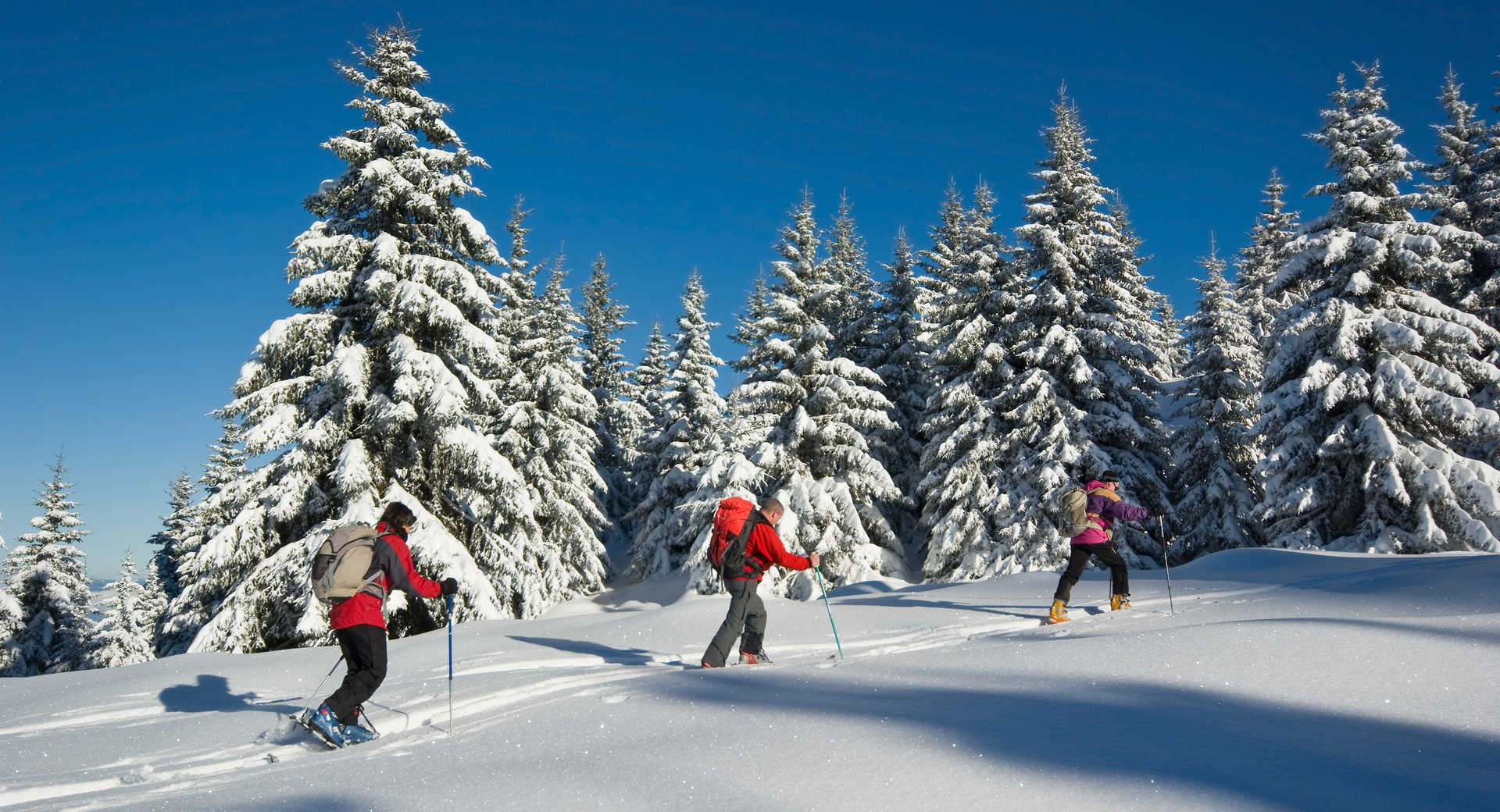 Réveillon raquettes et cocooning dans le Vercors - Voyage Alpes