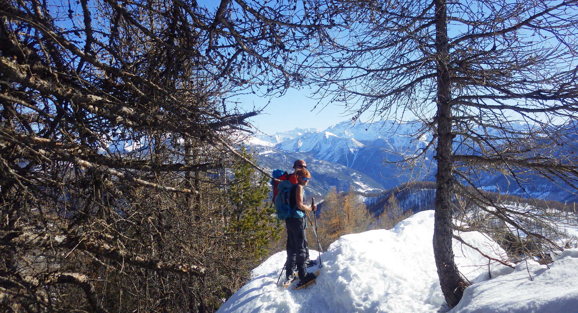 Balade en raquettes à neige avec pique-nique - Réservez l'activité -  Bonjour Alsace