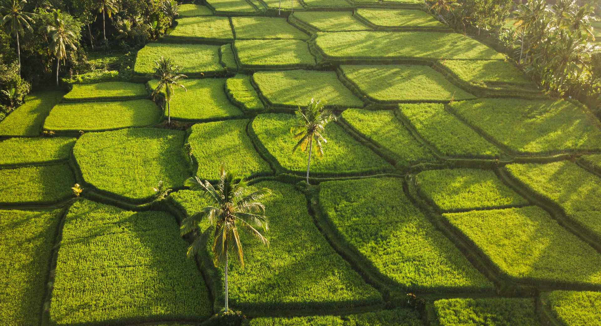 Découverte de Lombok : voyage immersif en Indonésie