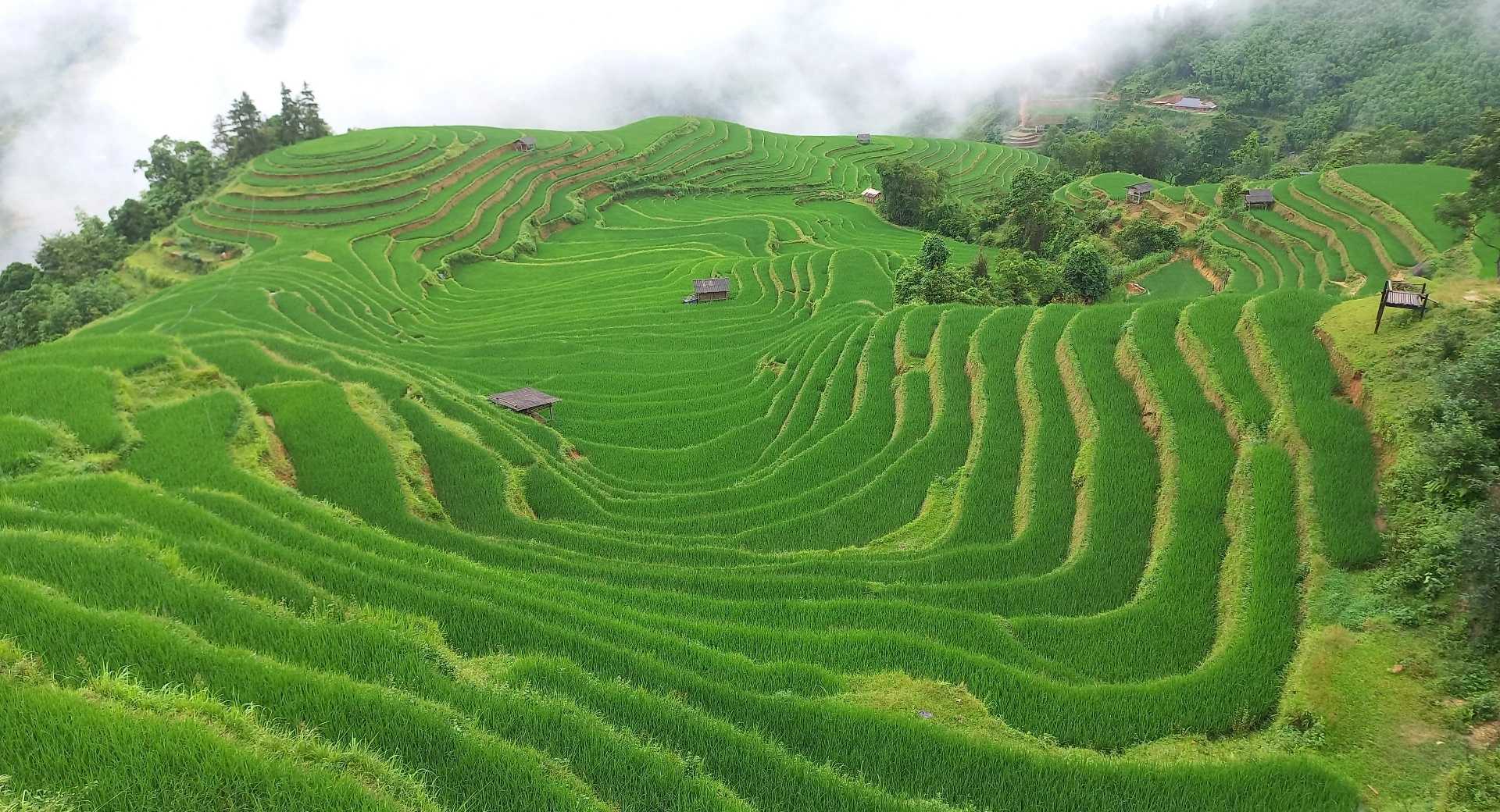 Trek - Le nord du Vietnam, du Haut Tonkin à la Baie d\'Ha Long - Voyage Vietnam