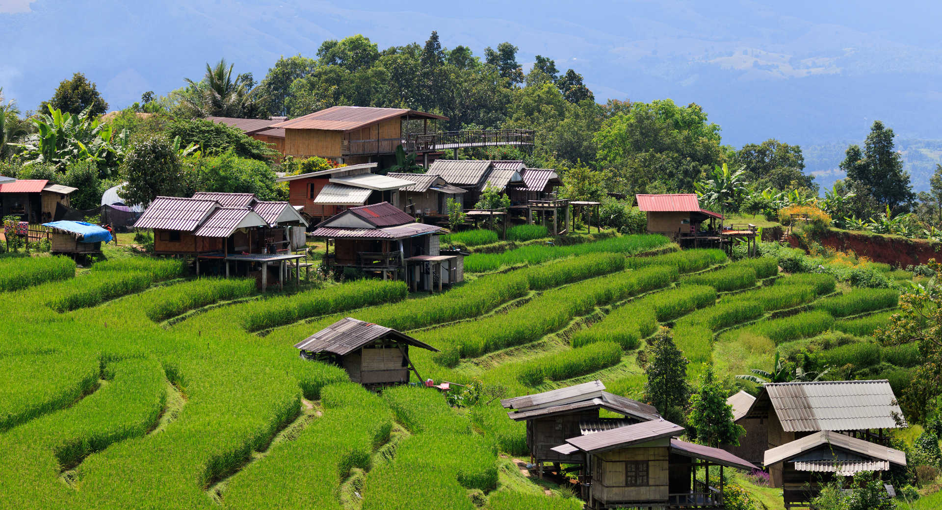 Trek - Nord Thaïlande : Trek et secrets du Triangle d\'Or - Voyage Thaïlande