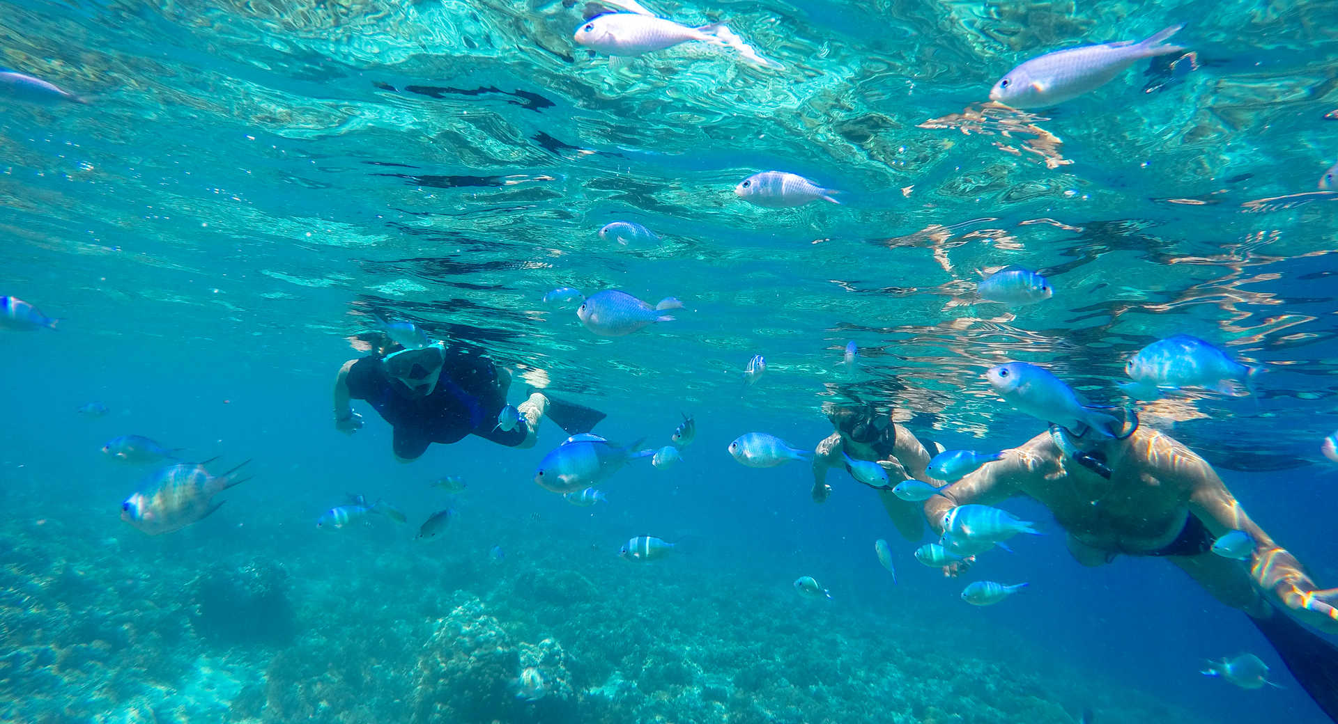 Trek - Snorkelling et Randonnées : Bali , Nusa Penida et Kawah Ijen - Voyage Indonésie